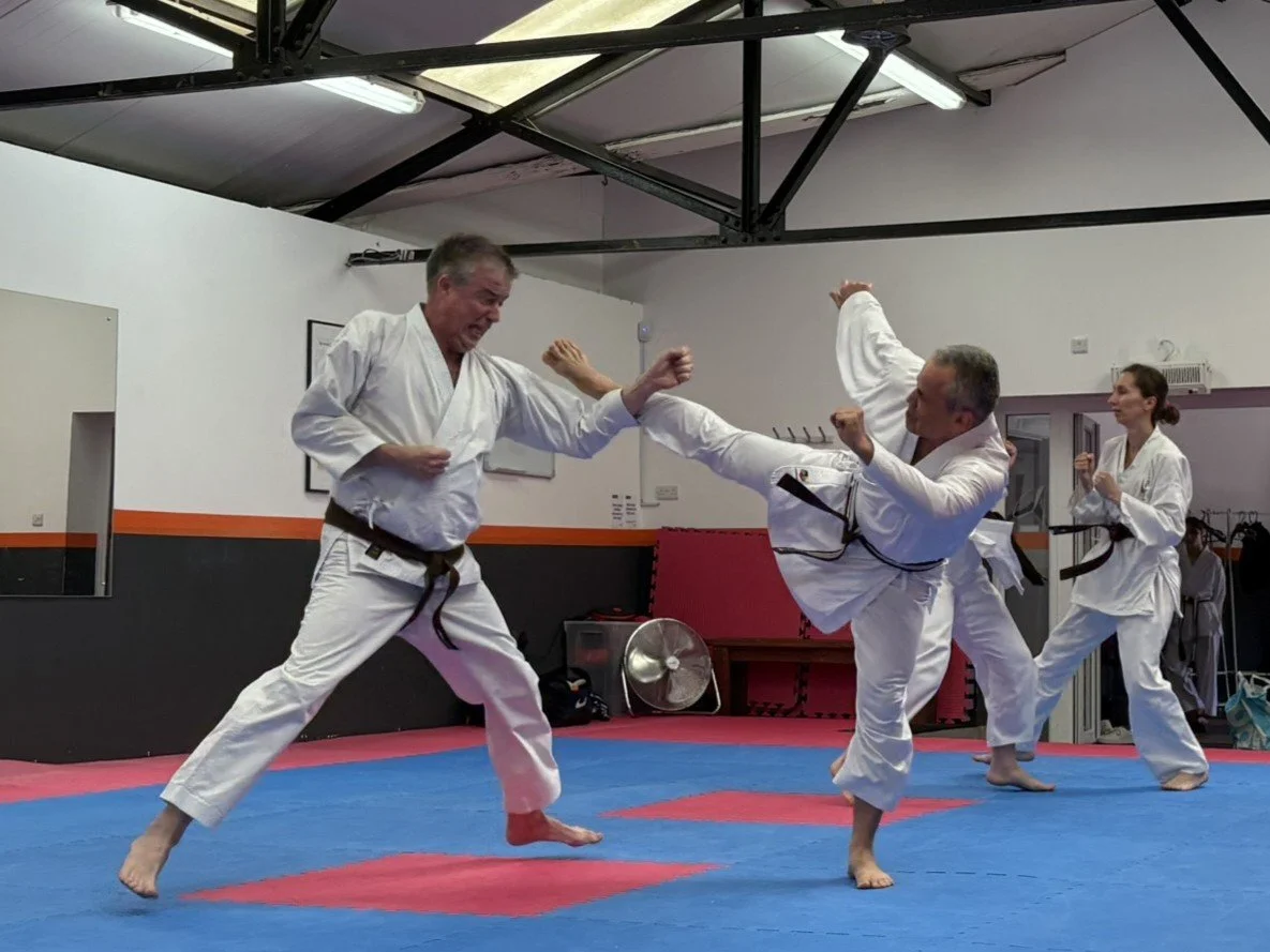 Brown women kumite (4).JPEG