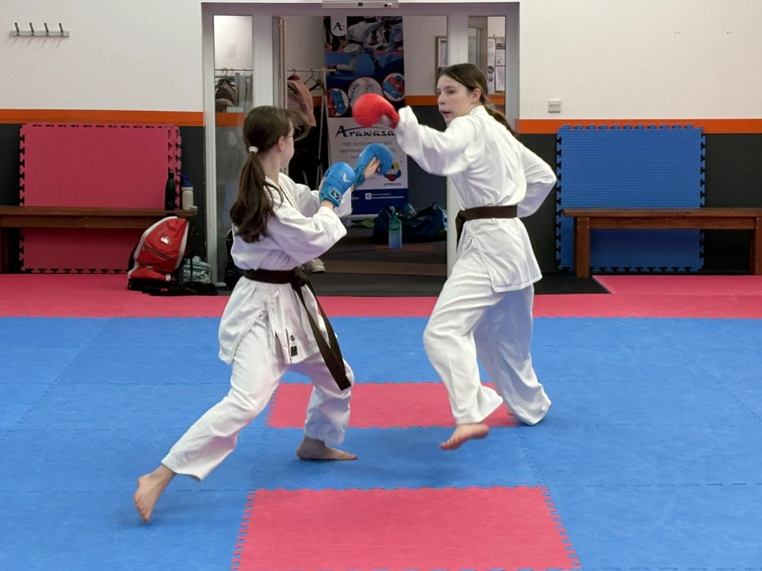 Brown belt kumite 1.JPEG