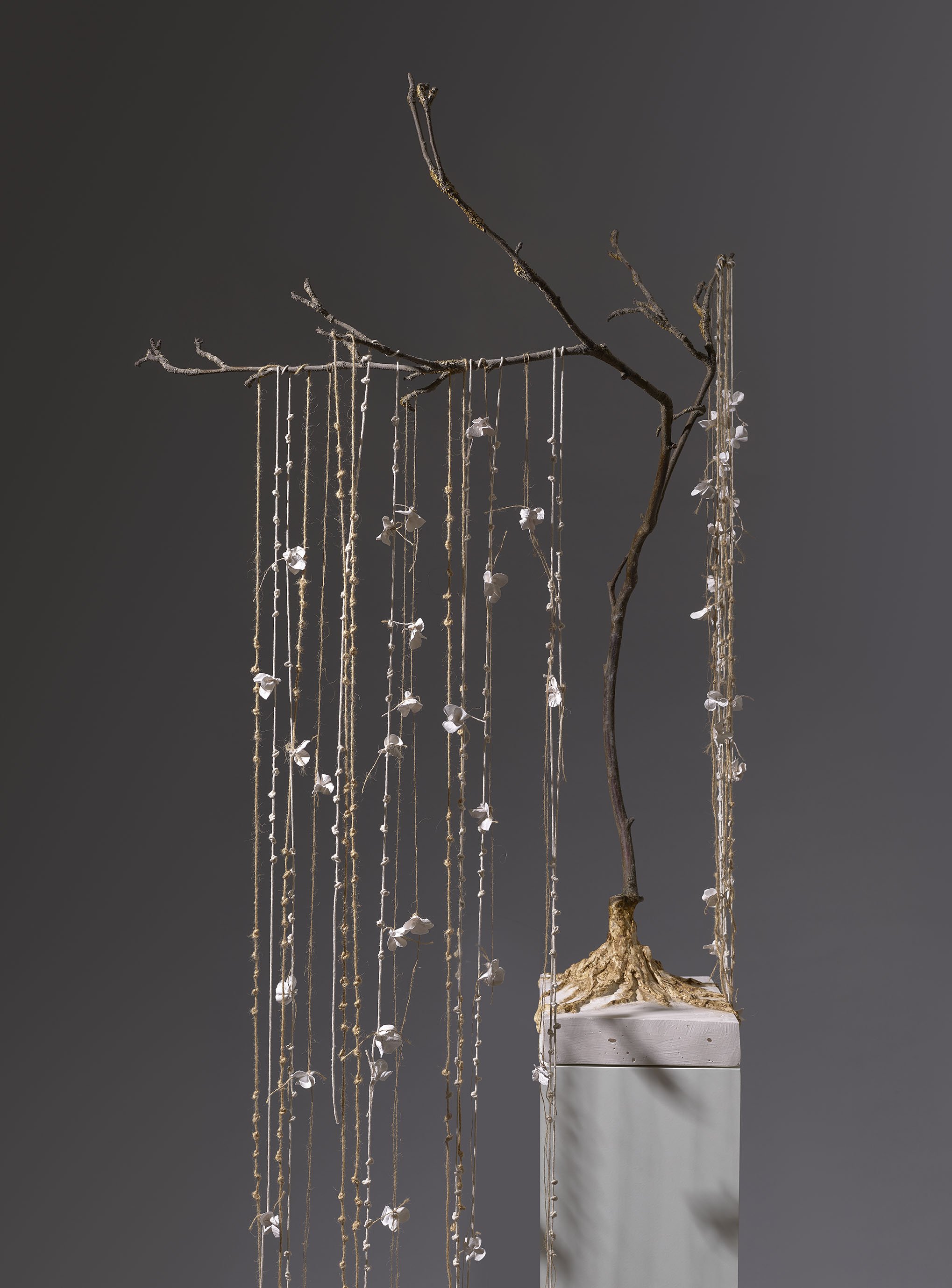 A Gentle Touch 110cm x 80cm branch, plaster, jute, cotton