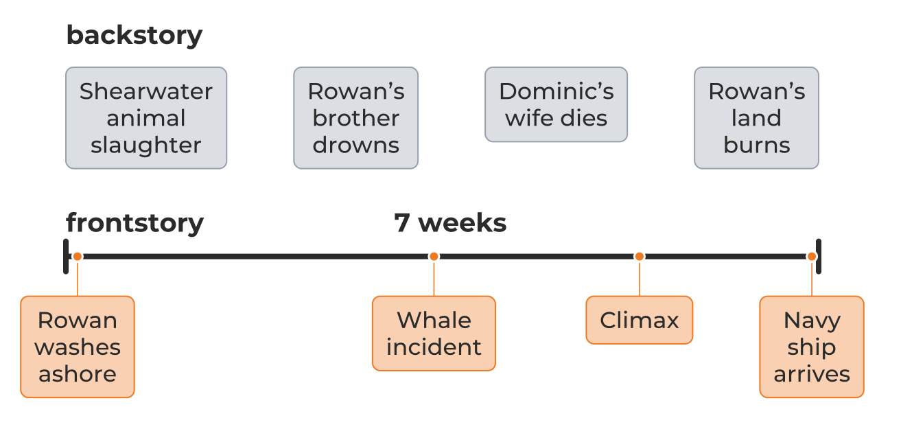 Wild Dark Shore’s frontstory and backstory