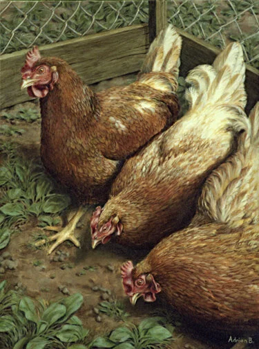 Pecking Order - acrylic on canvas, 24" x 18", SOLD