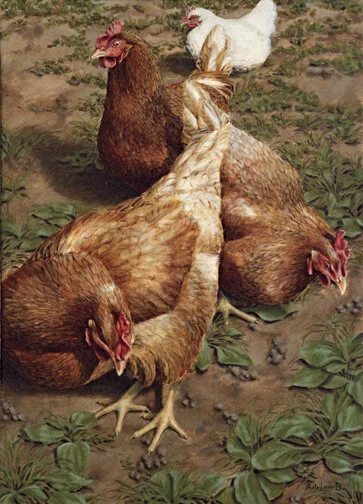 Freerange - acrylic on canvas, 25" x 18", SOLD