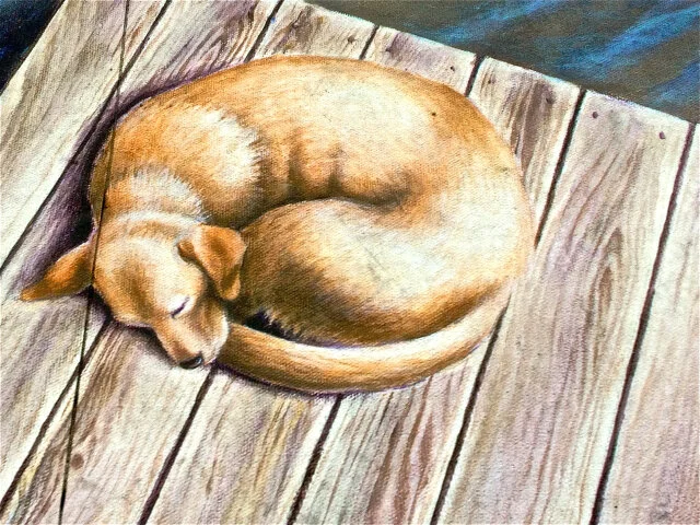 Asleep on the dock