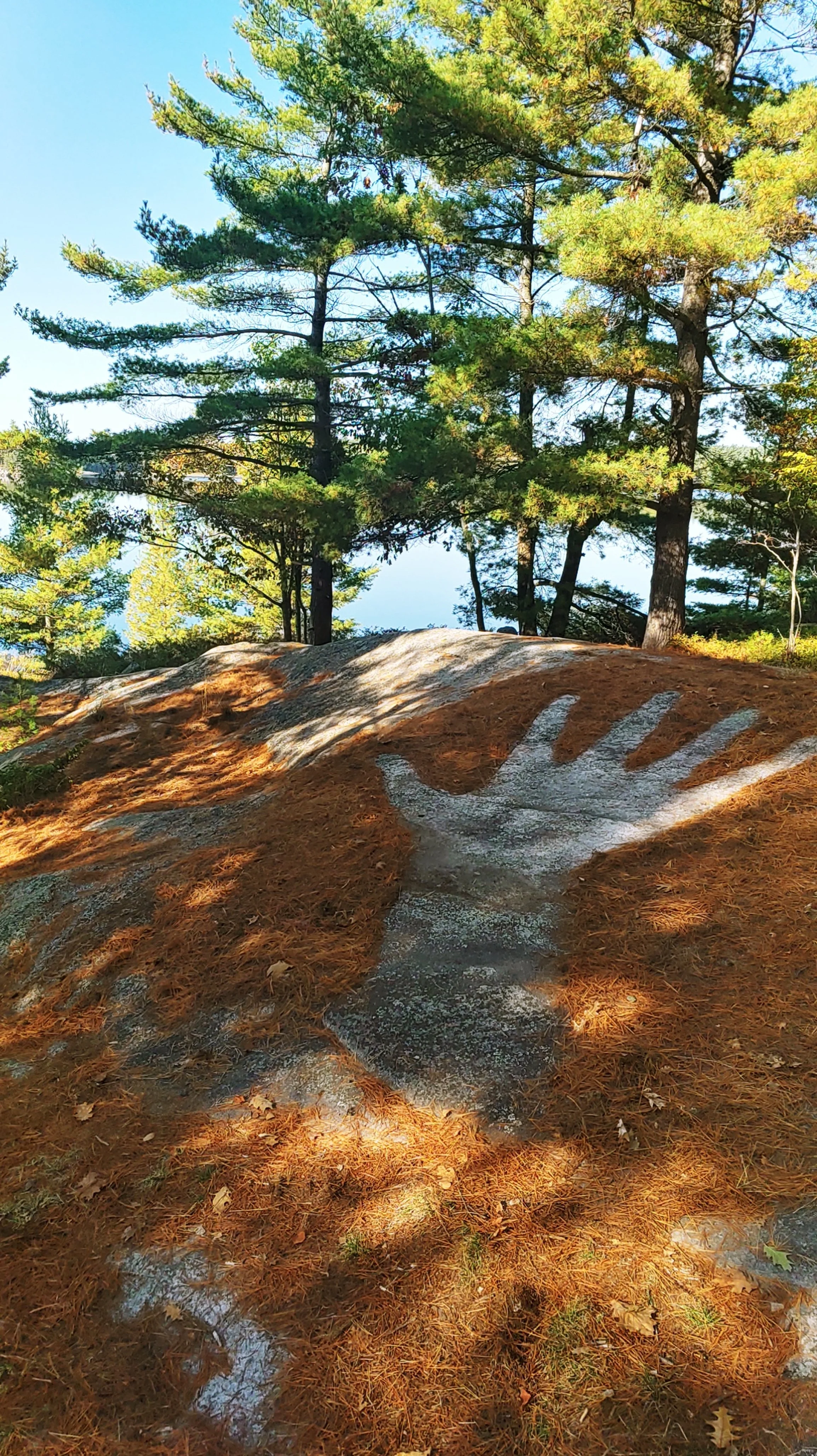 Untouched - we have left our mark in wilderness areas 