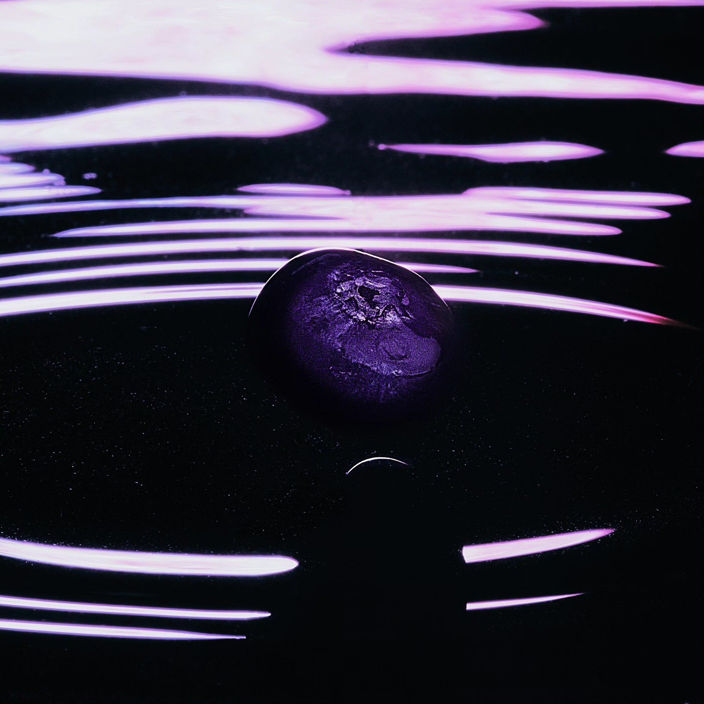 After a couple of years behind the scenes... unless you're out in the wild around my usual loud self, I find myself officially back in studio! This is the first of many. One blueberry. Sometimes quiet says the most.

#visualpoetry #stilllife #embrace