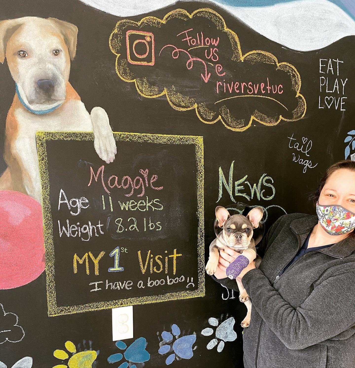 Maggie&rsquo;s first visit was for a torn toe nail... but she still gave us all the hugs and kisses 🥰🐶🐾

#frenchiesofinstagram #frenchiepuppy #firstvisit #veterinarian #walkinclinic #southhillsvet #pittsburghvet #riversvet #rvuc #puppies