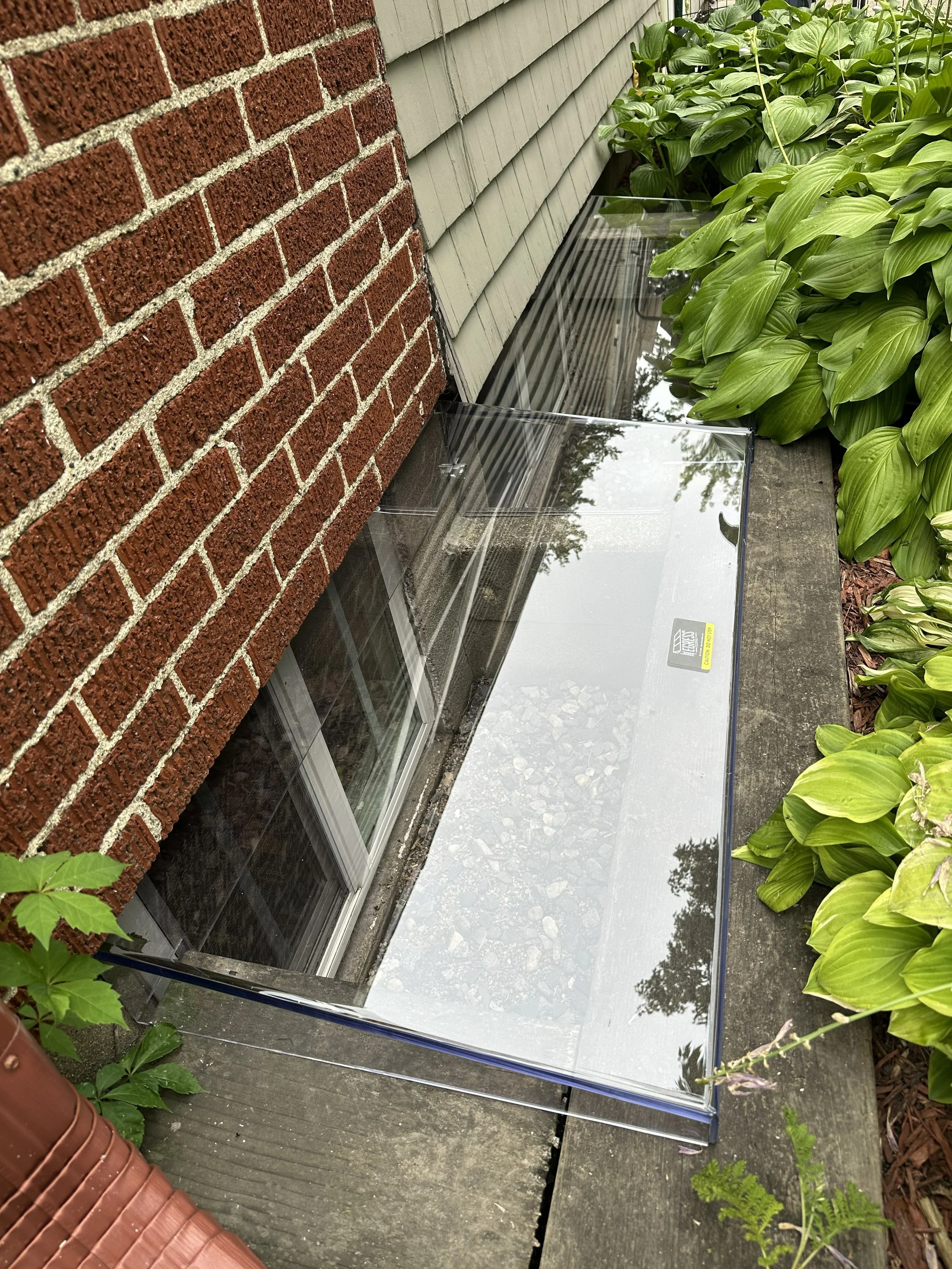 A clear glass or plastic cover on a concrete slab, situated next to a red brick wall and beige wooden siding, with green leafy plants on the side.