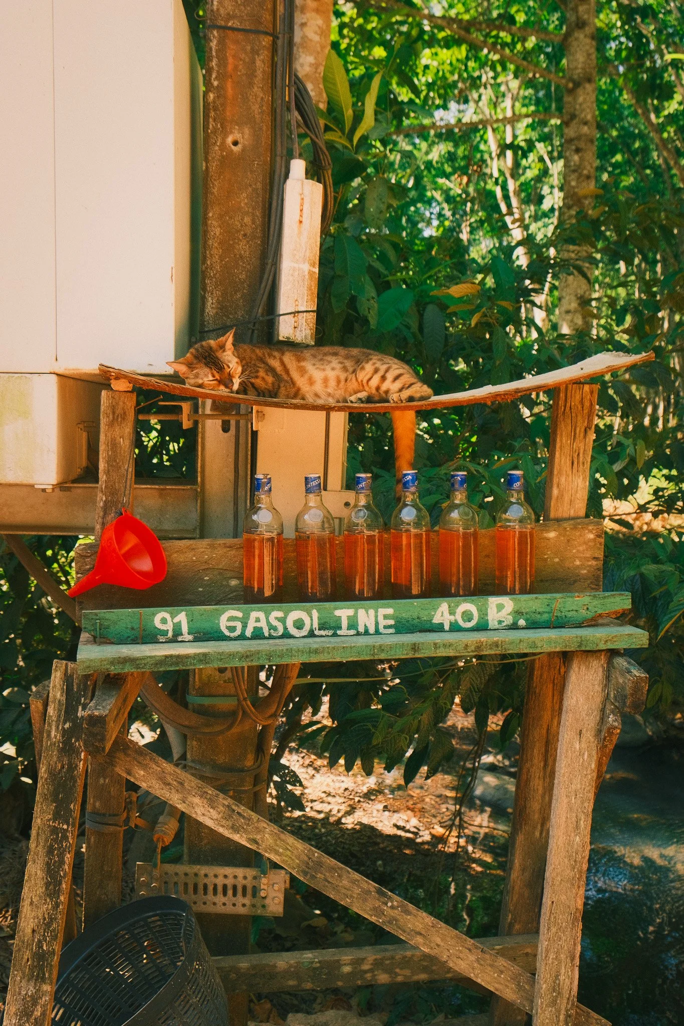 DSCF7075.jpg