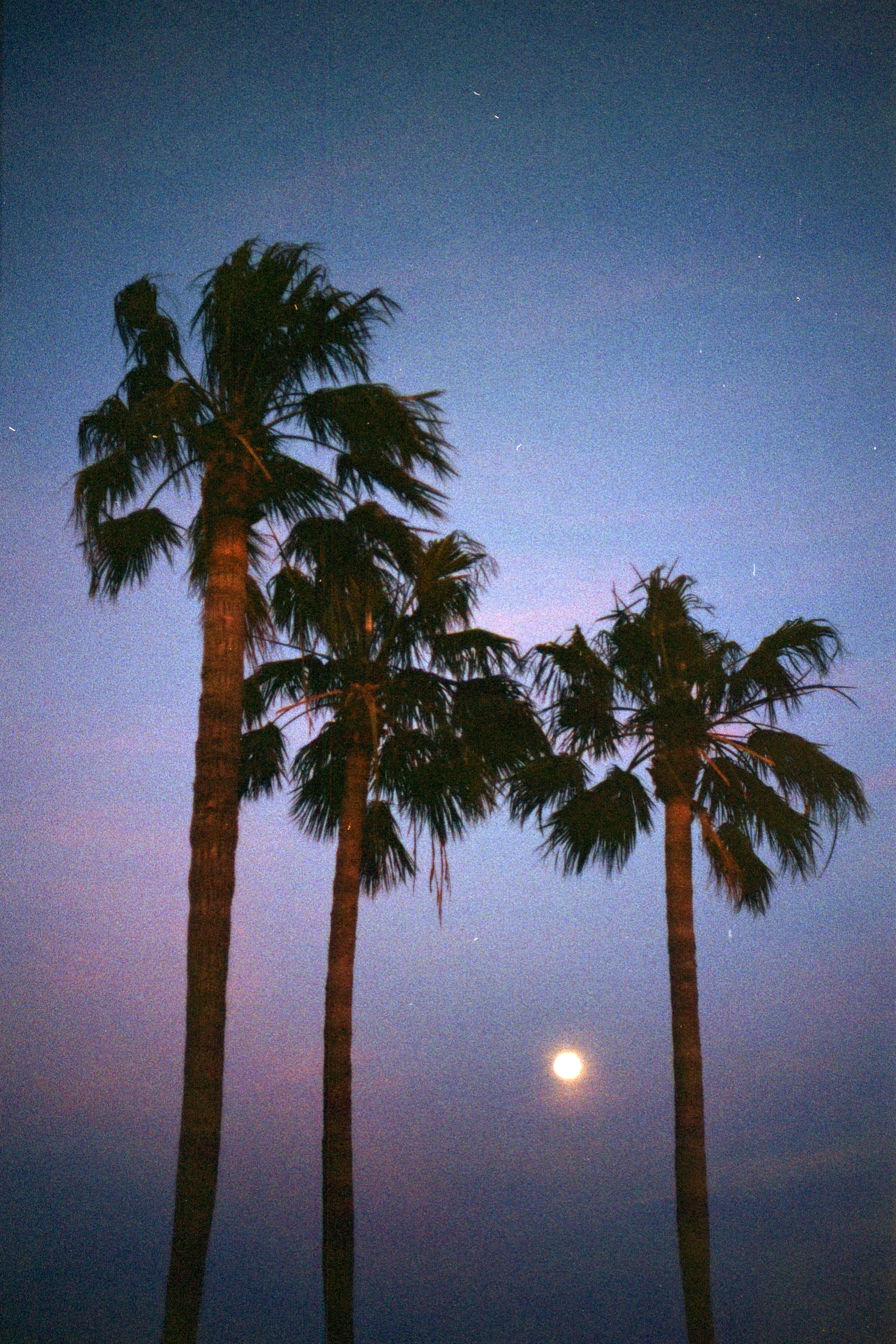 Canon_Roll23_(2018)_011.jpg