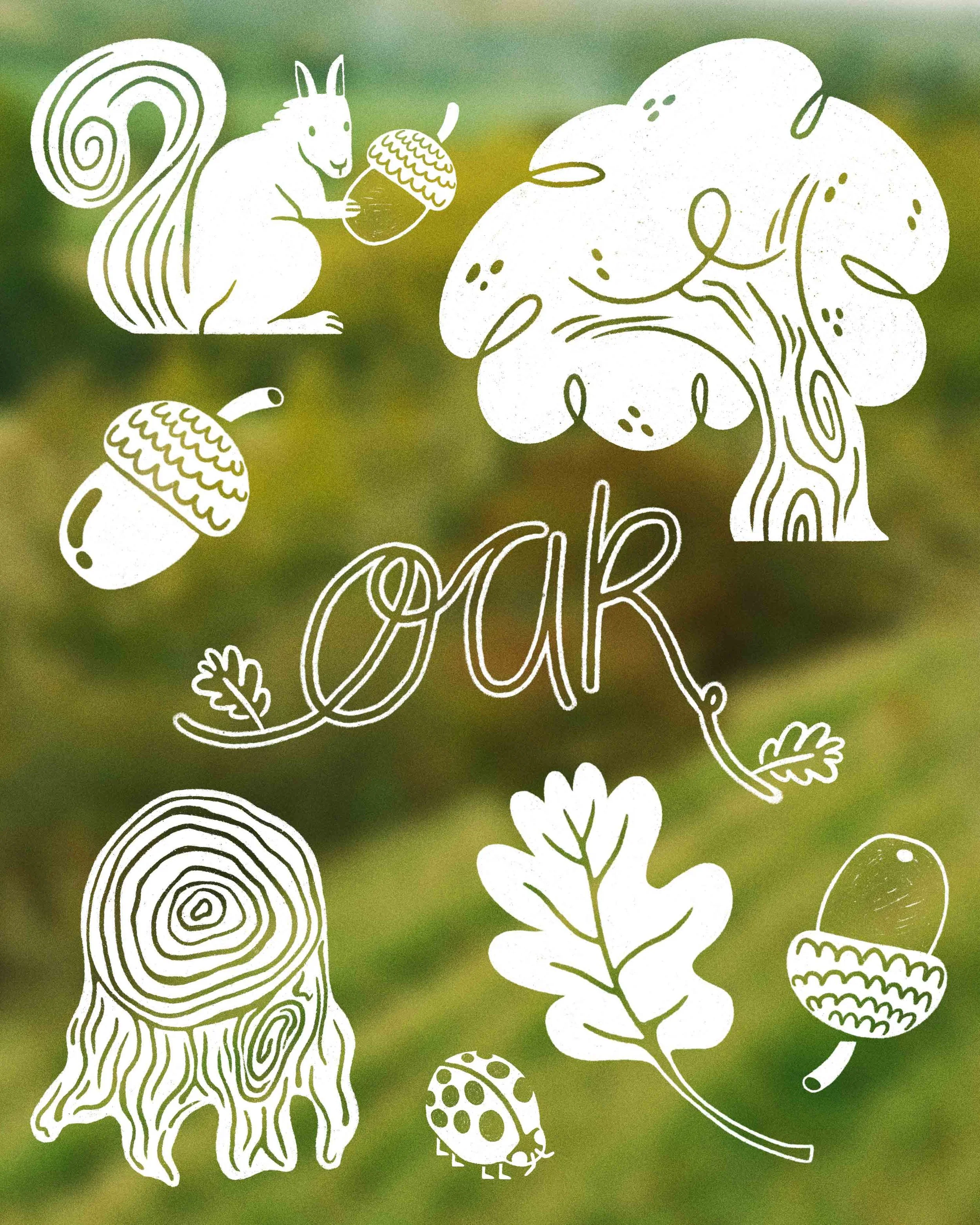 Peachtober26_01_Oak_Low-res.jpg
