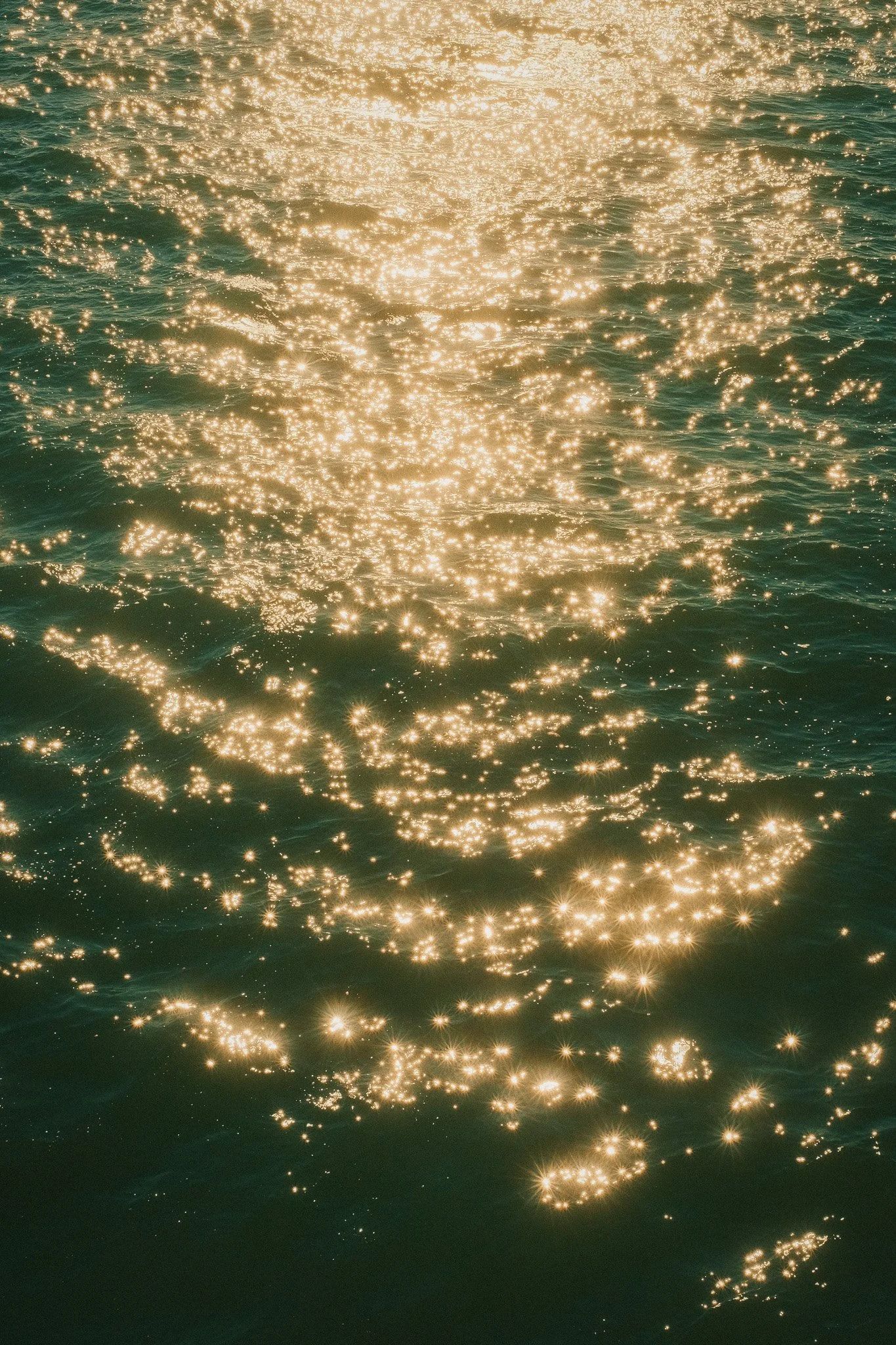 DSCF4662.jpg