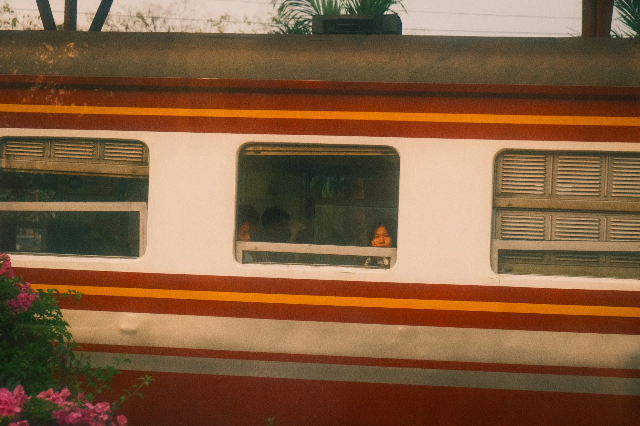 DSCF6505.jpg