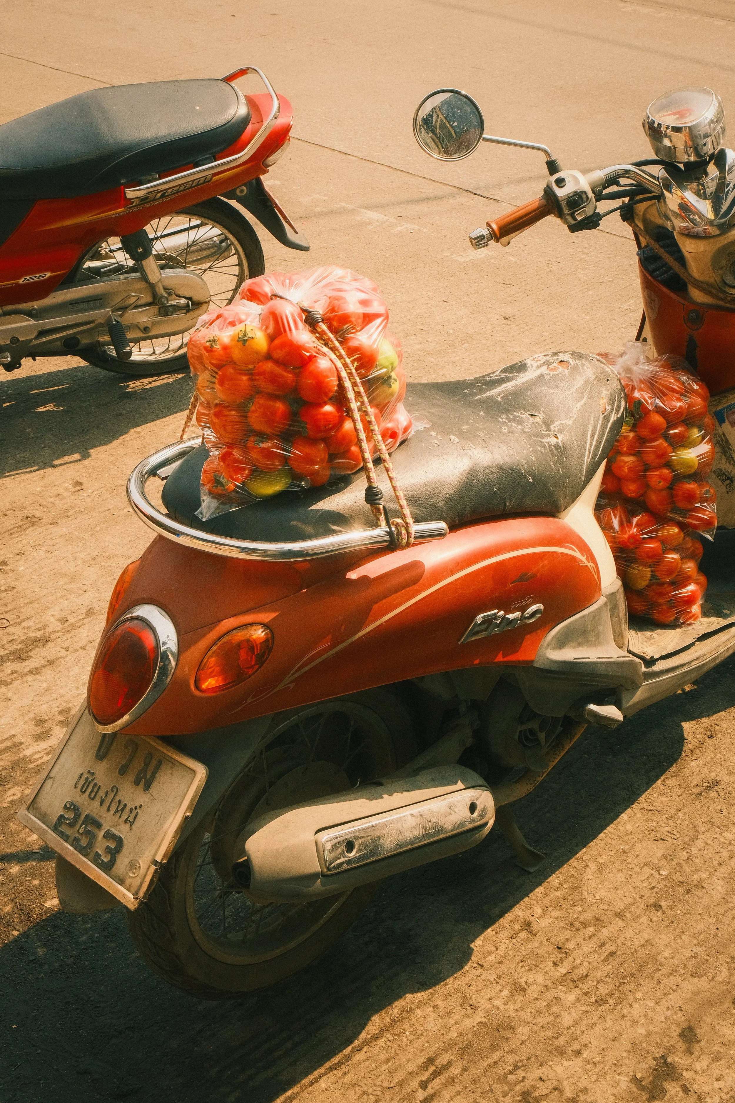 Tomatobike_Print.jpg