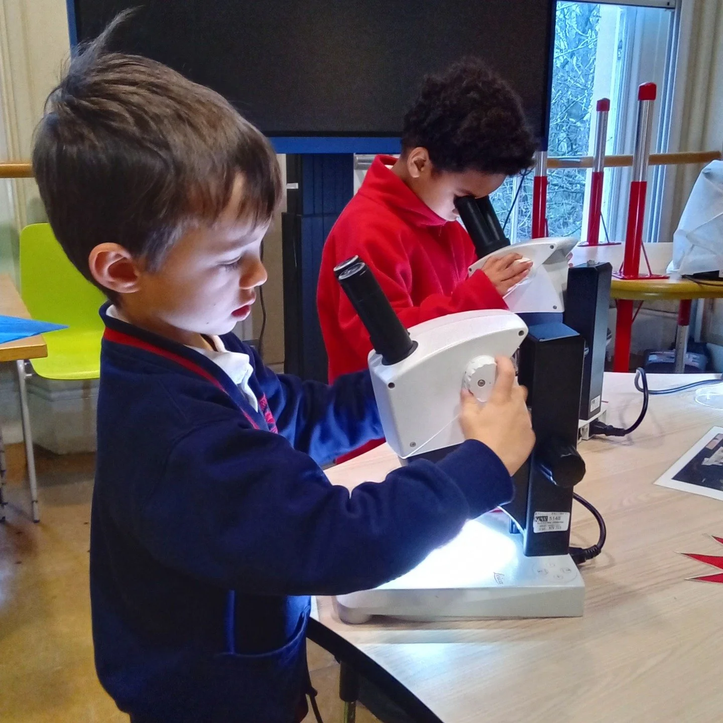 🌱 What an amazing day at @kewgardens! Our Year 1 children got hands-on with plants and seeds, discovering the different parts that help them grow🌸🔍