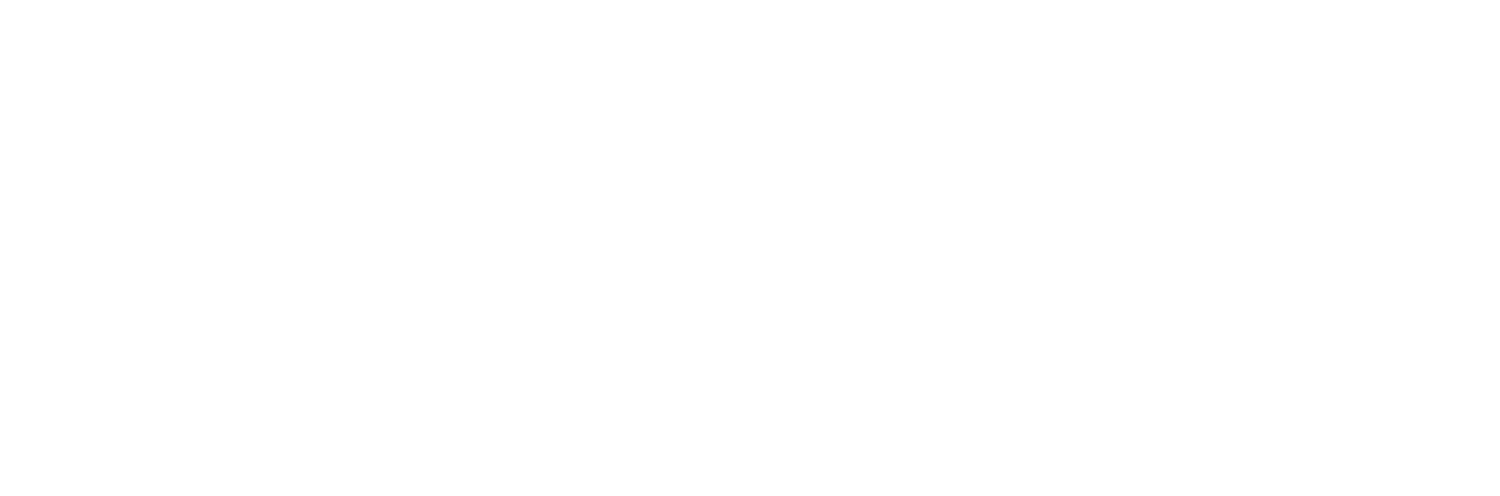 Bridge to Portland Group