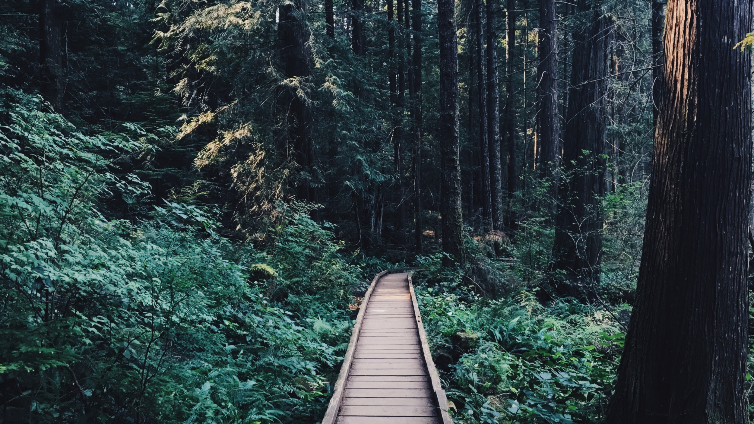 SW Portland Real Estate Guide: Exploring the Tryon Creek State Natural Area