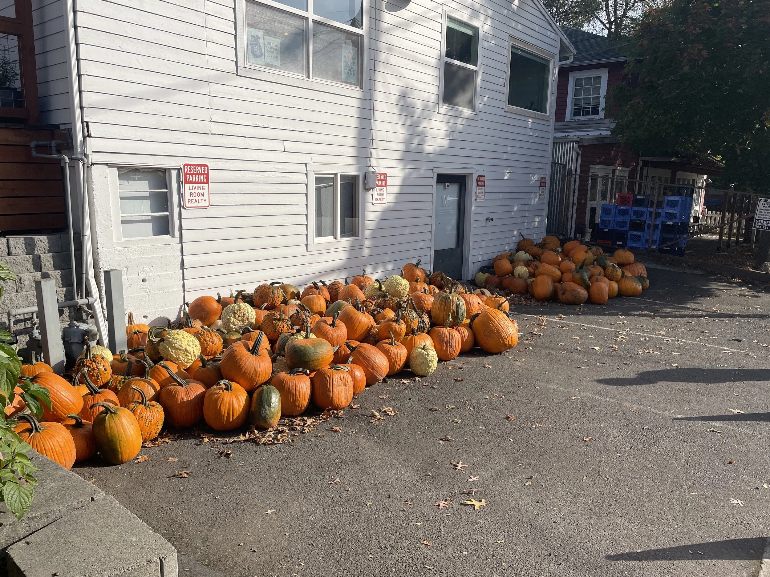 Bridge to Portland Group 3rd Annual Pumpkin Fest