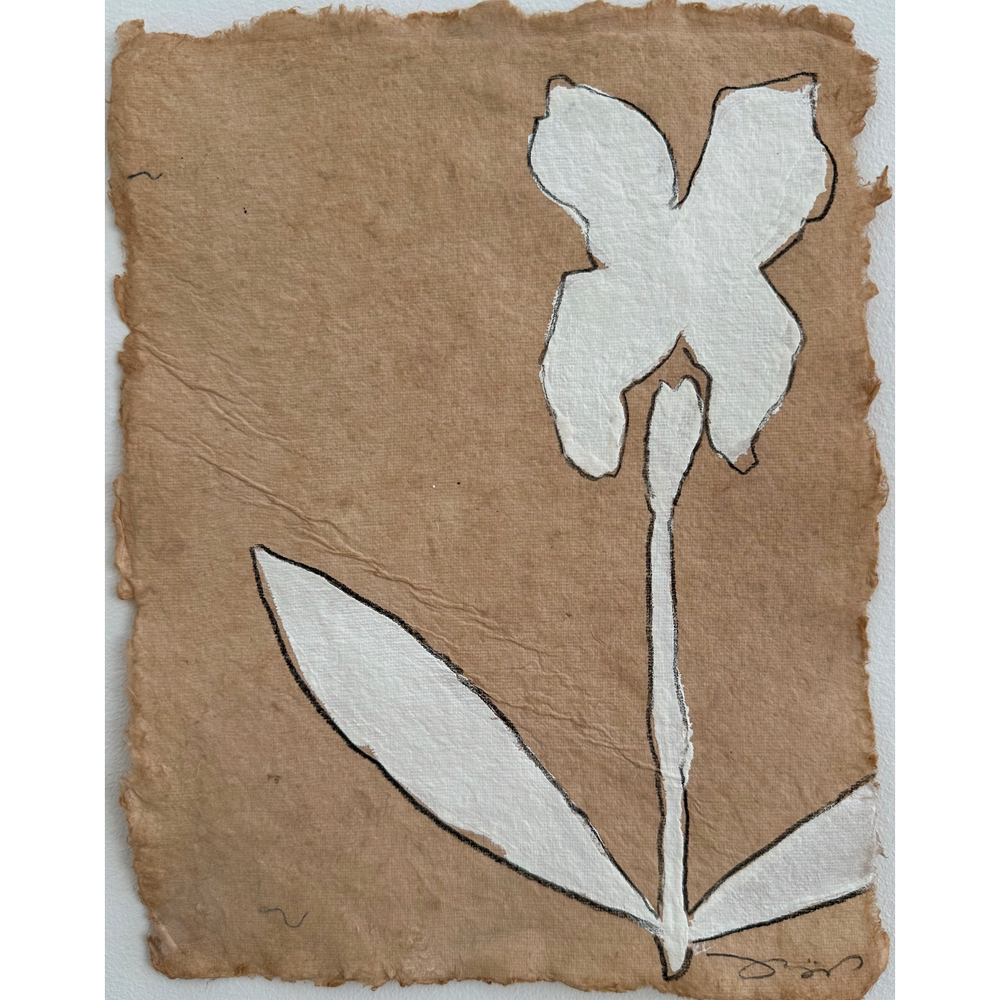 petite-fleur-41-josh-young-design-house