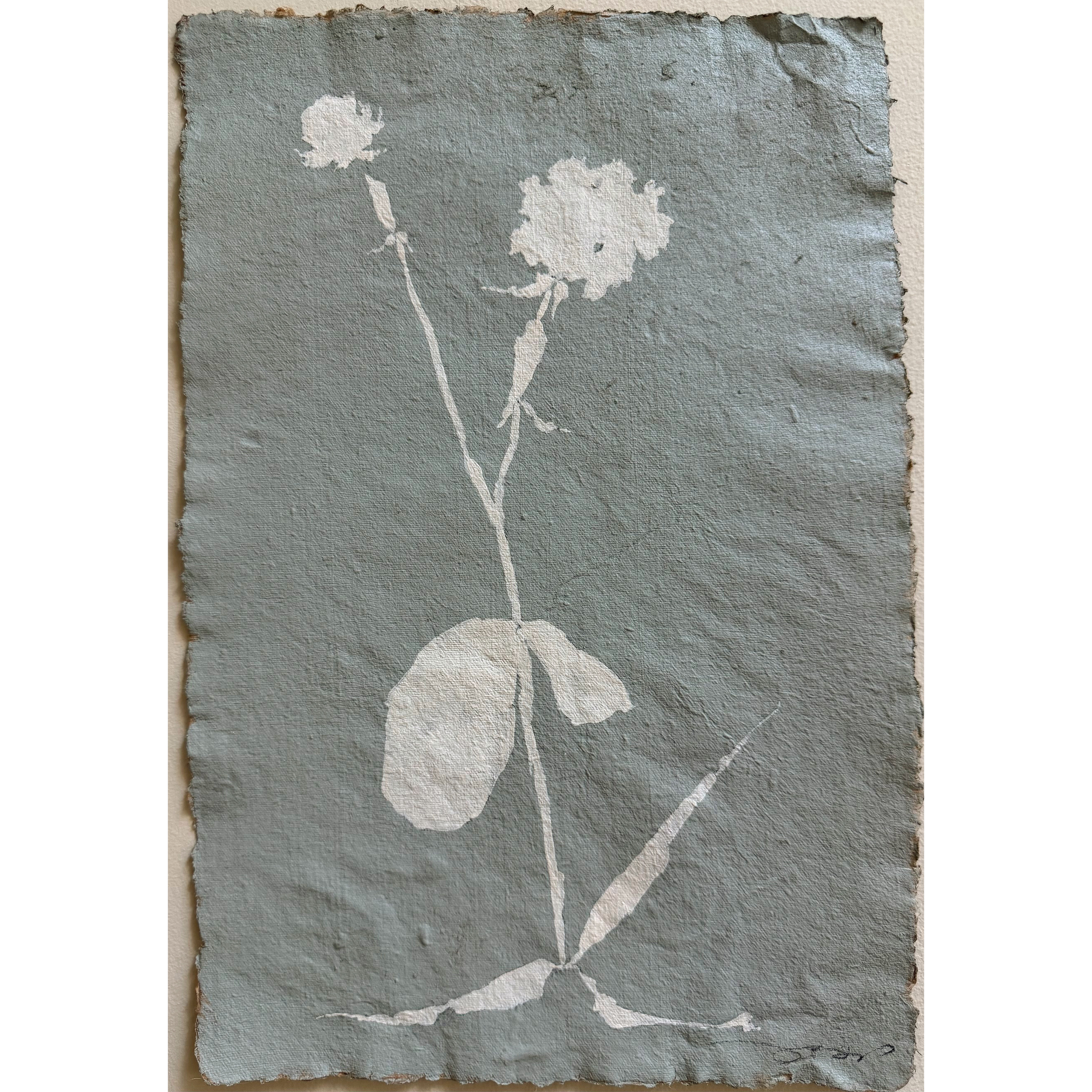 Fleur Bleu, 02
