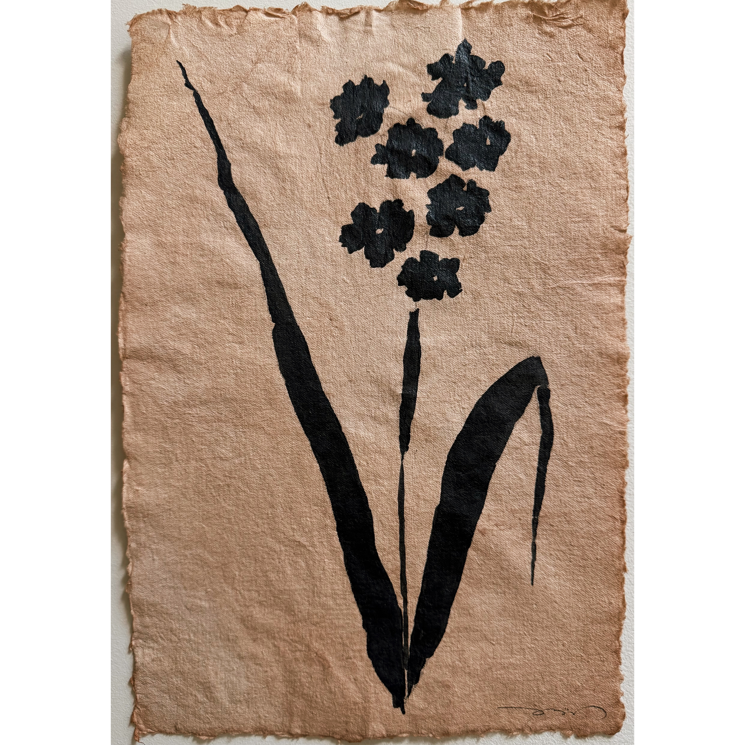 Fleur Noir, 02