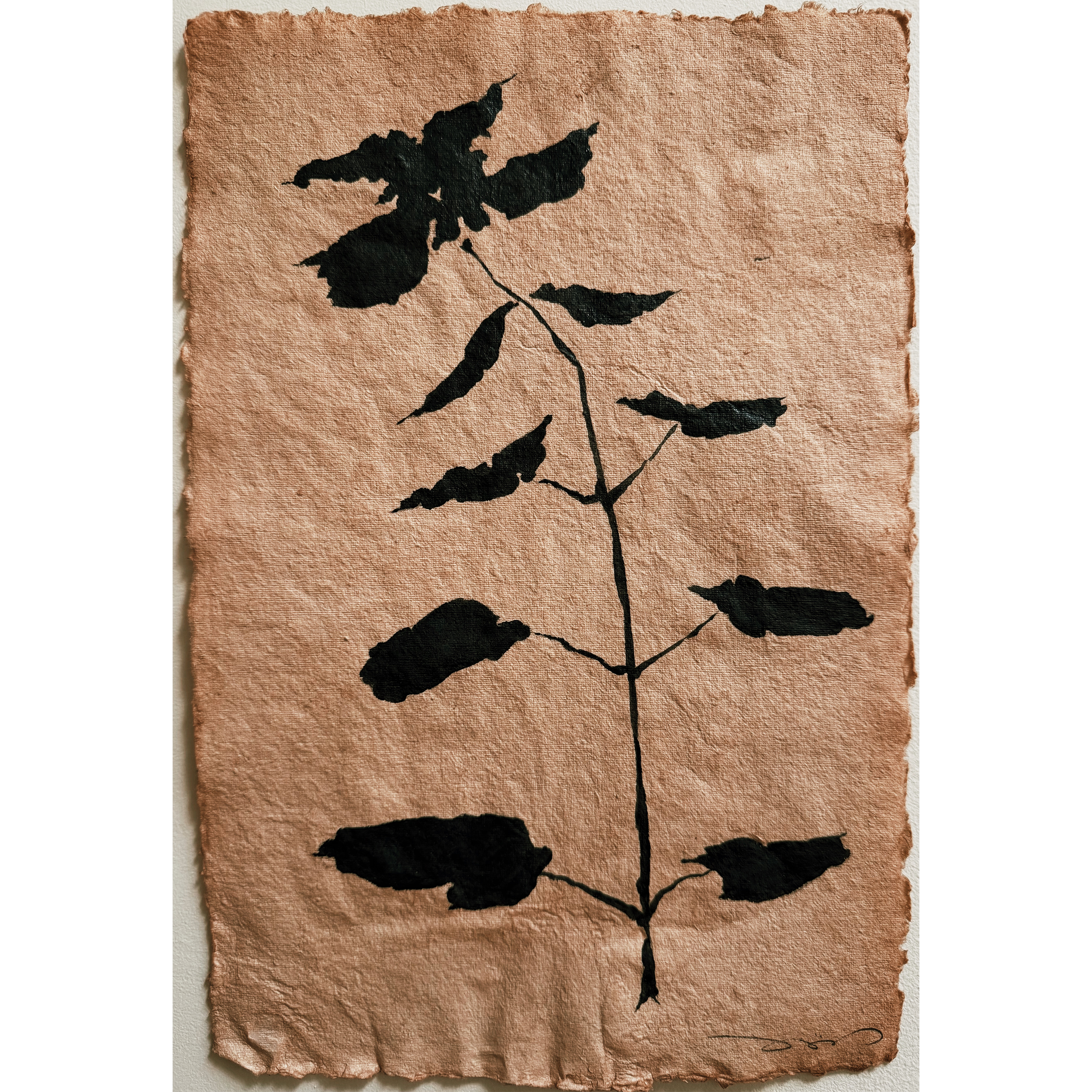 Fleur Noir, 01