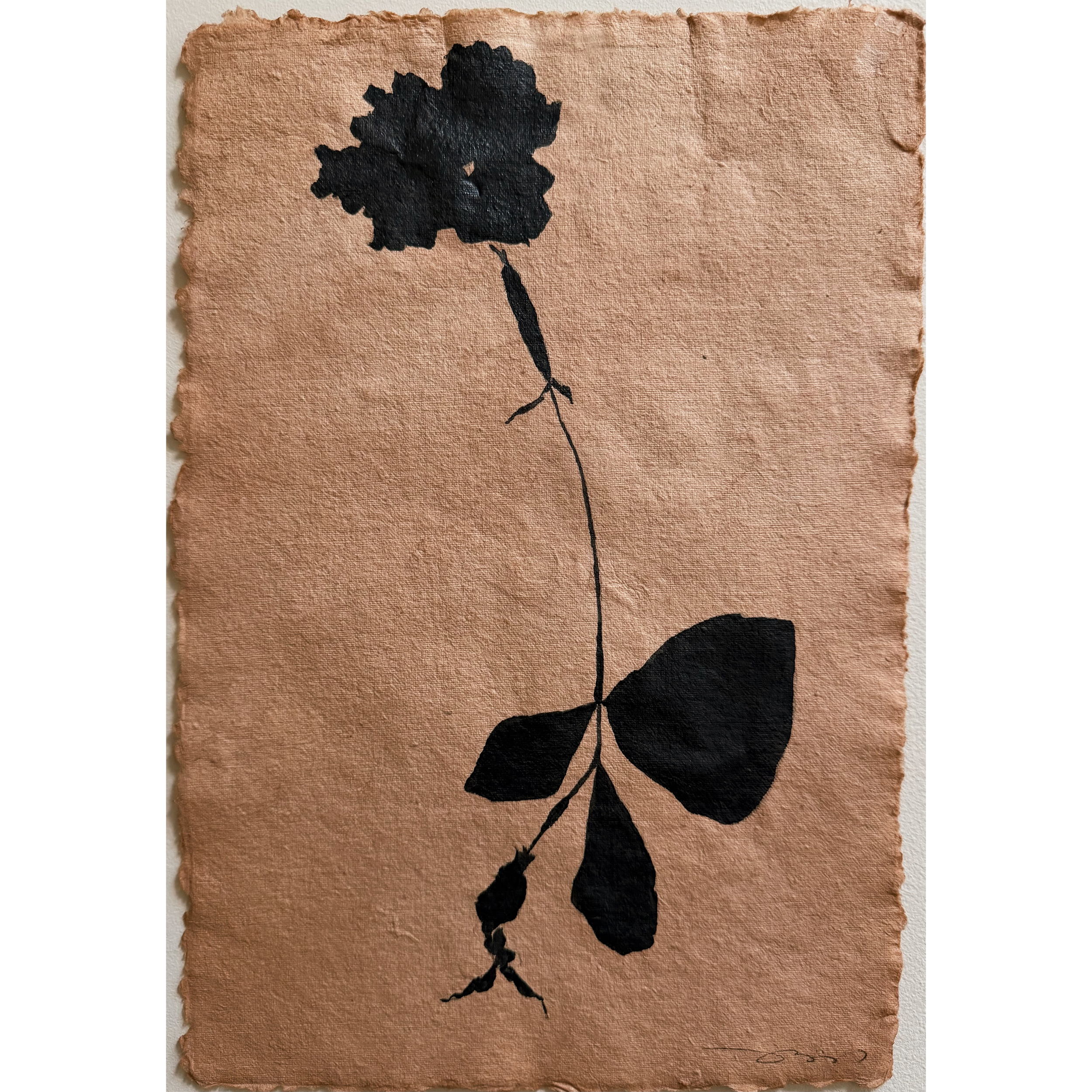 Fleur Noir, 04
