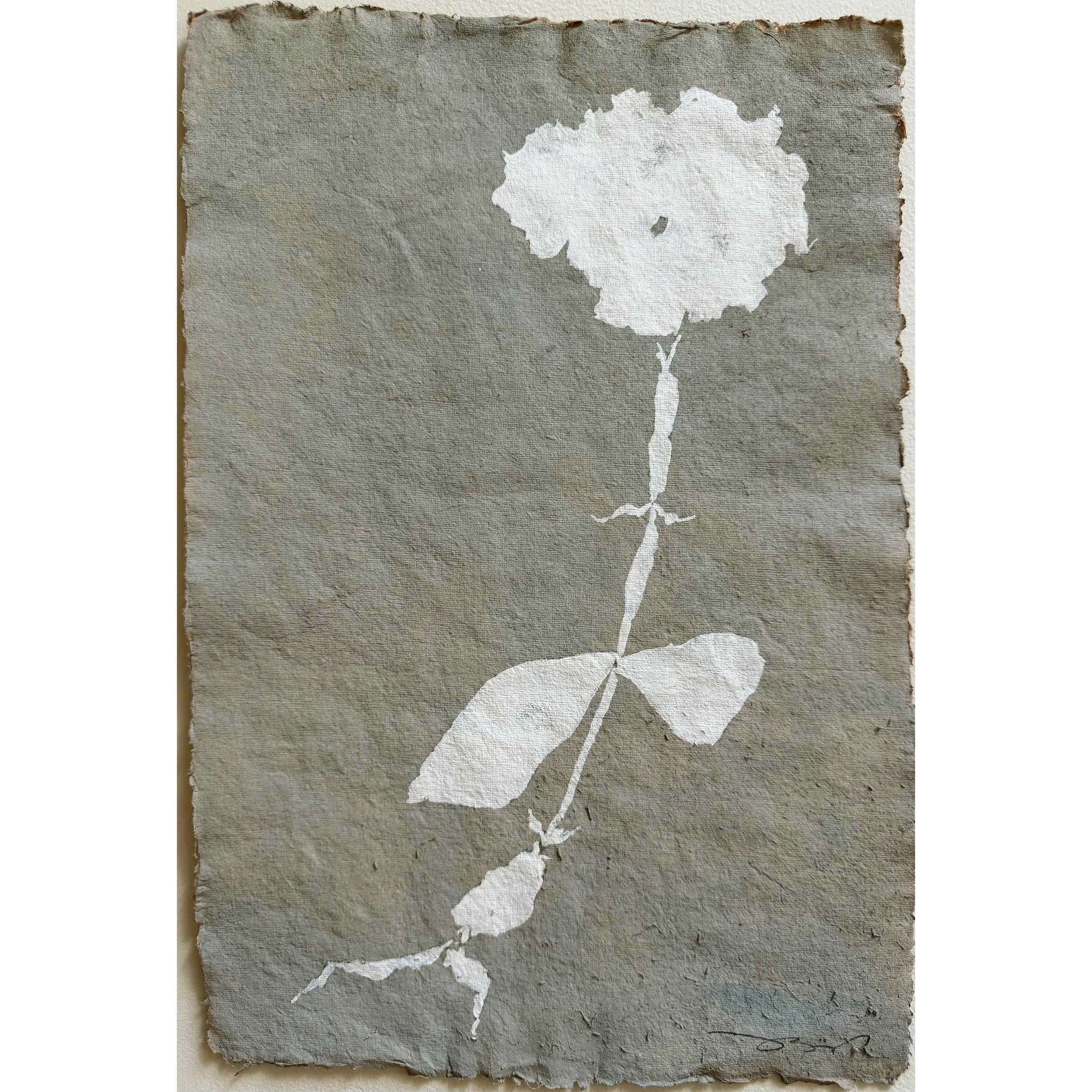 Fleur Bleu, 01