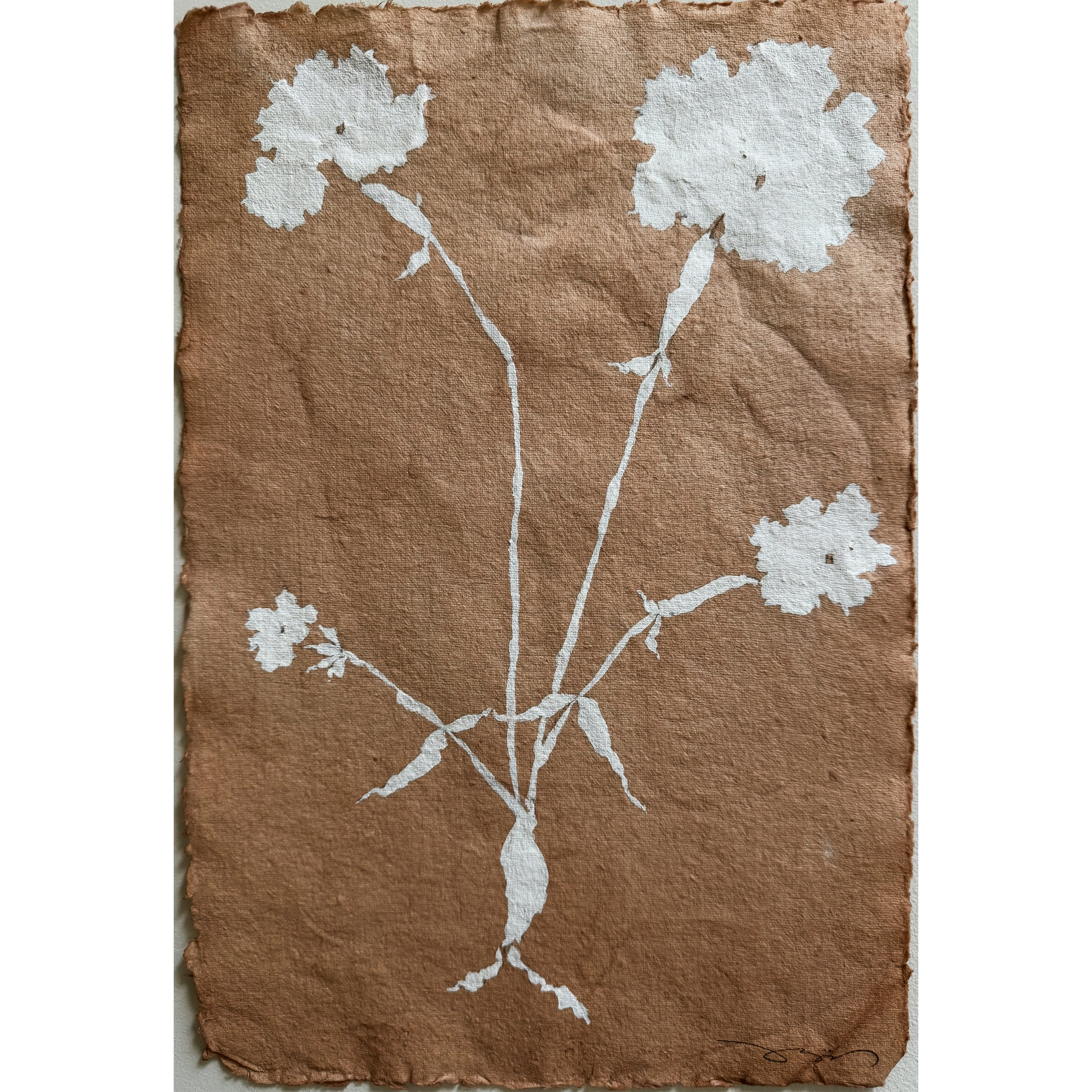 Fleur Blanc, 04
