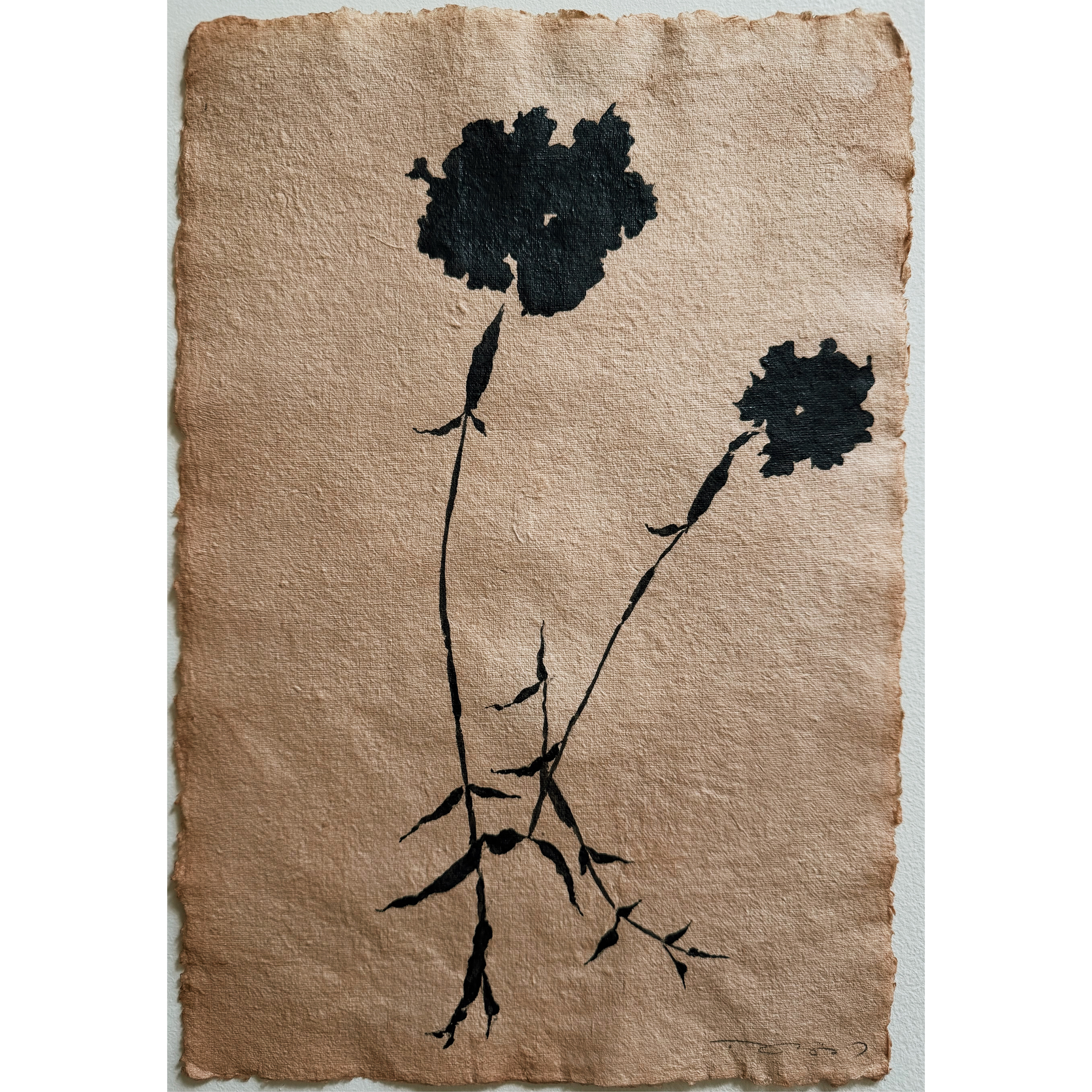 Fleur Noir, 03