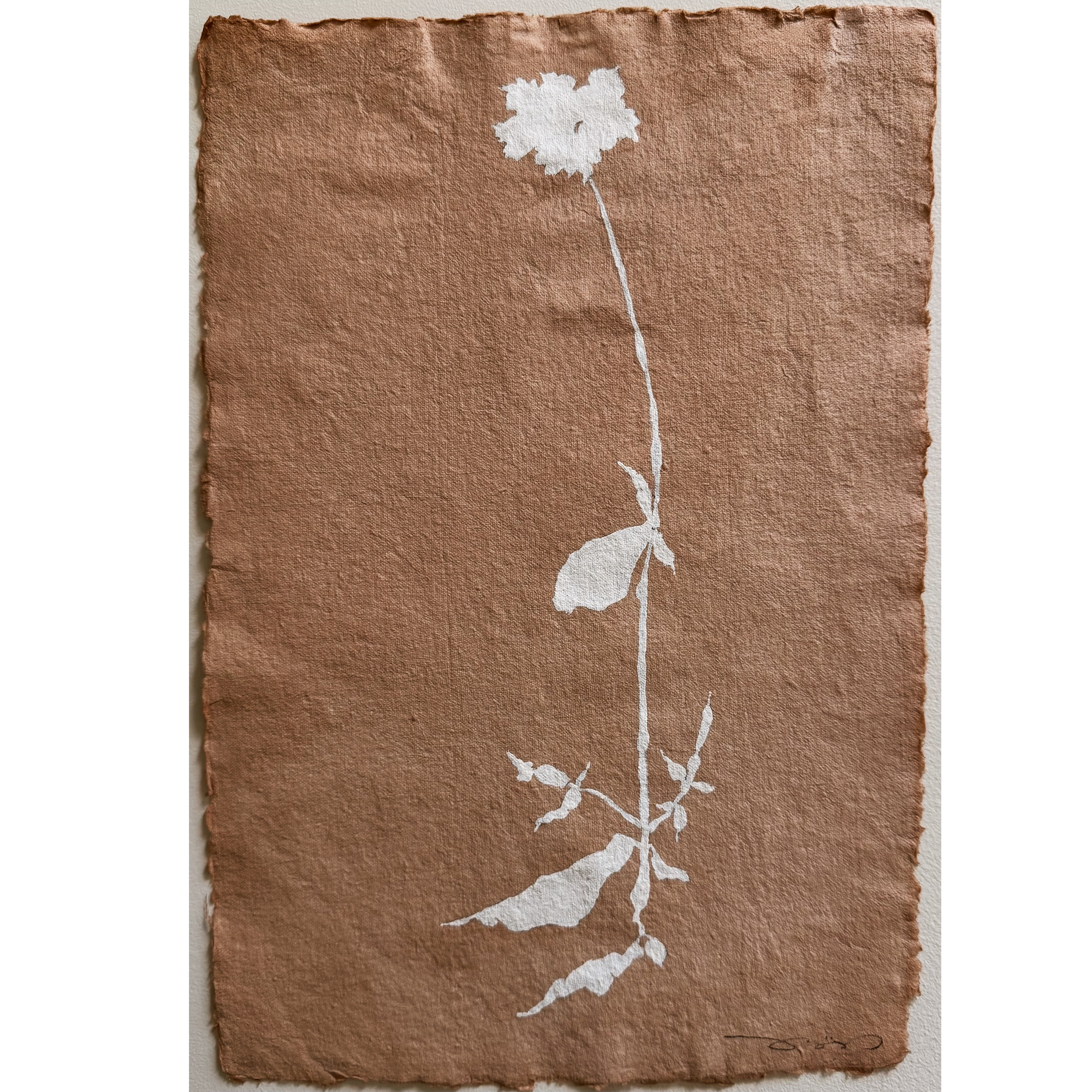Fleur Blanc, 01