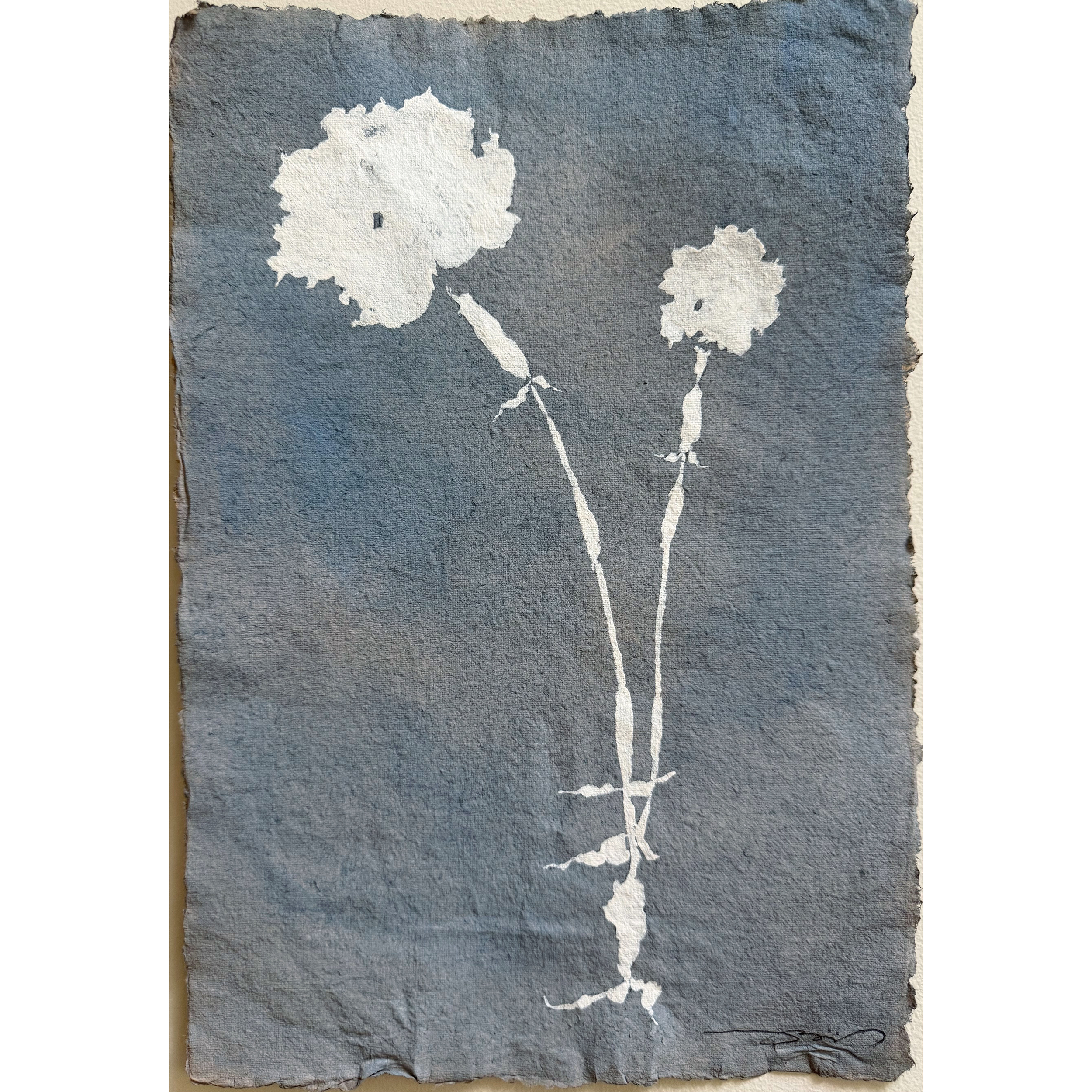 Fleur Bleu  03.png