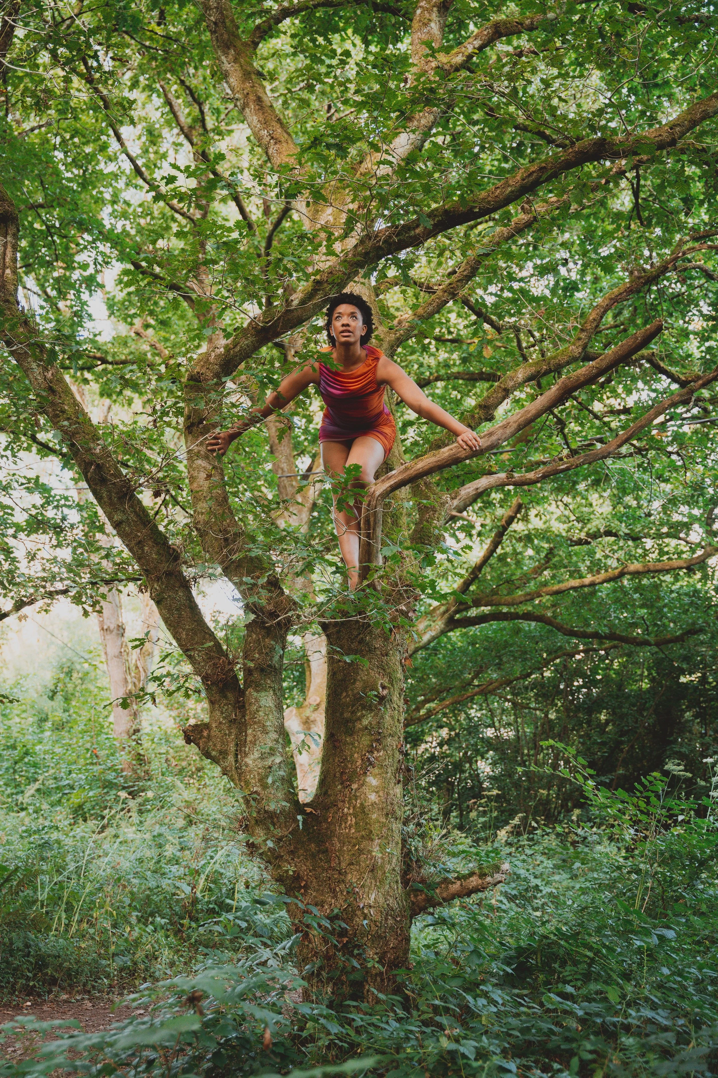 A large oak tree stands tall with branches spread wide. The woman stands high in the tree with her arms holding onto branches at either side of her while she fearlessly surveys the forest ahead.