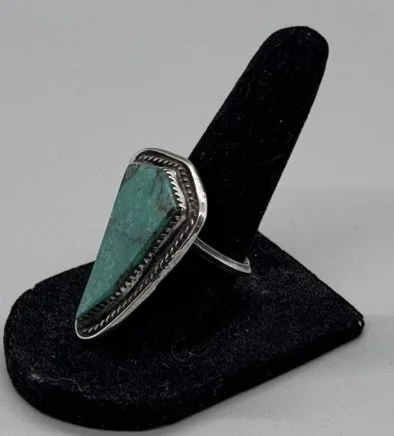 IMG_5229 - Copy.JPEG