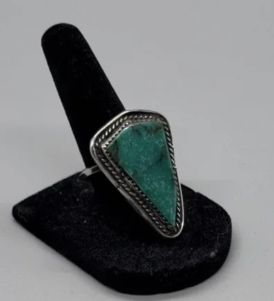 IMG_5230 - Copy.JPEG