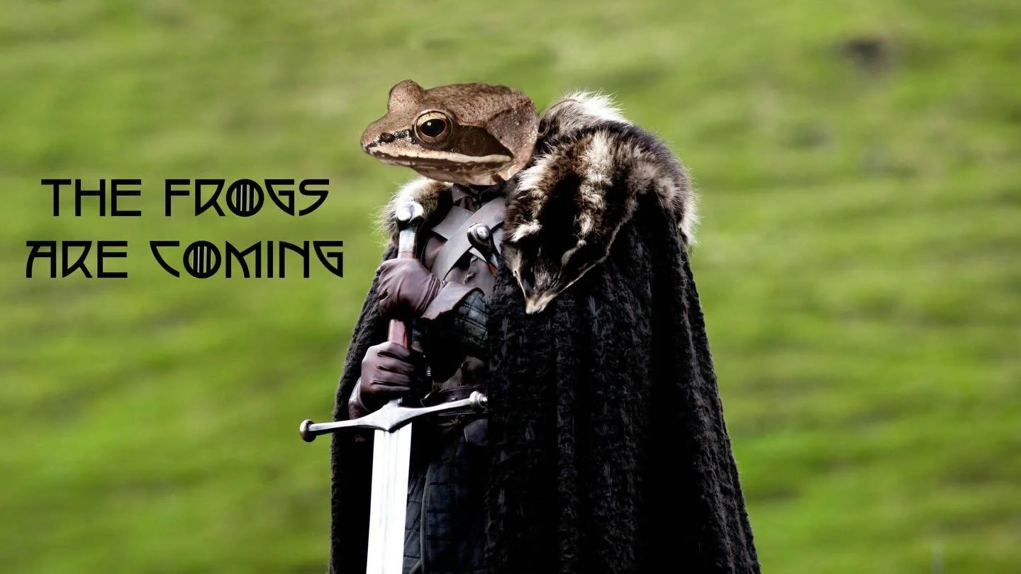 Spring is coming. Get ready for the annual amphibian migration! Volunteer with the Hudson River Estuary Program&rsquo;s program to track and support these critters at road crossings #hudsonvalley #amphibians