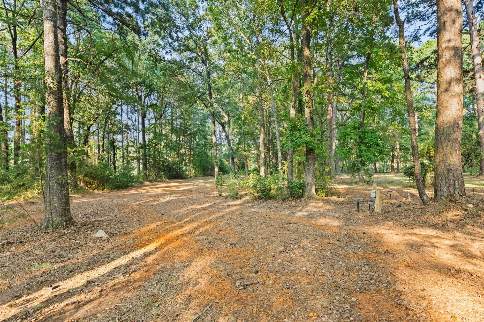 How to Tell if It’s Time to Lower Your Price (Without Undervaluing Your Home)