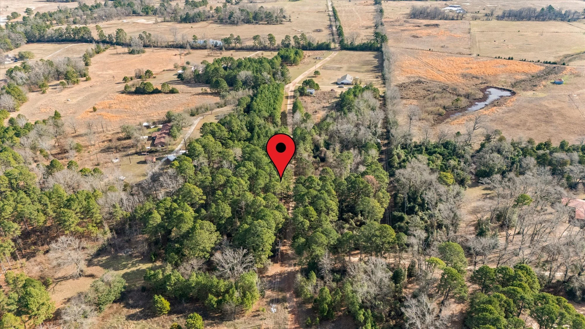 05-Untitled design (2).jpg