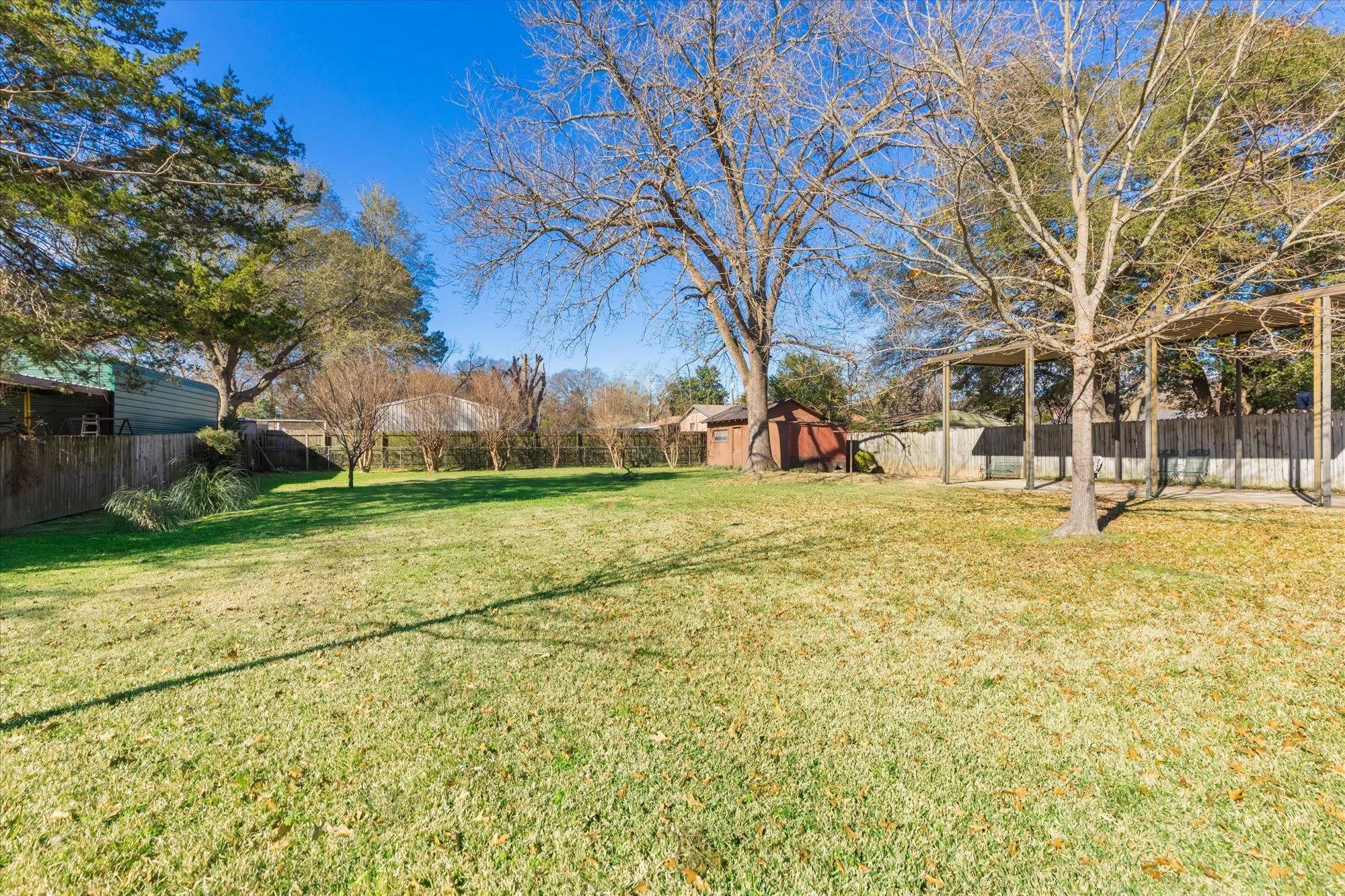A backyard with green grass, several trees, a shed, and a wooden fence, under a clear blue sky.