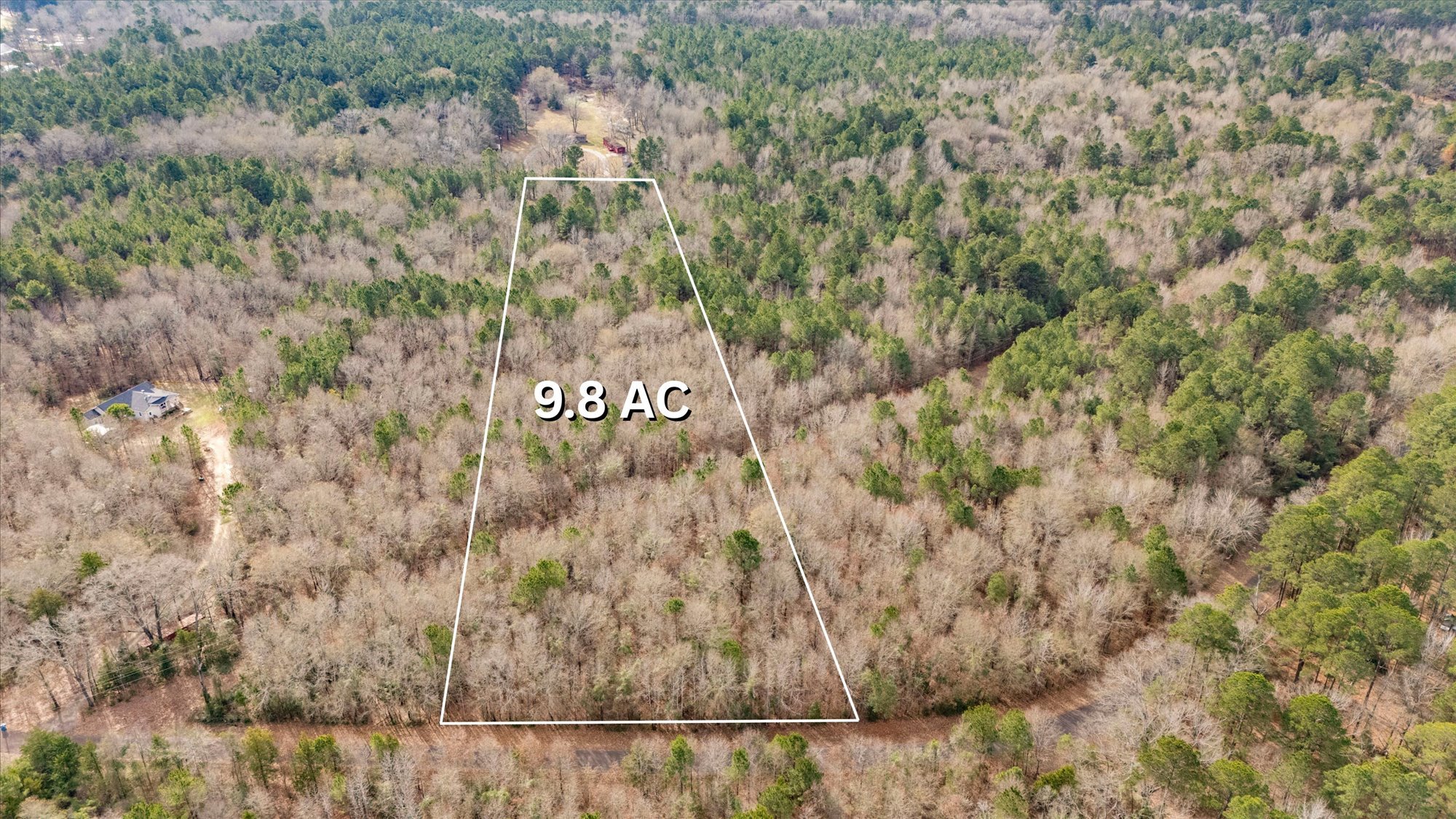 1-Untitled design.jpg