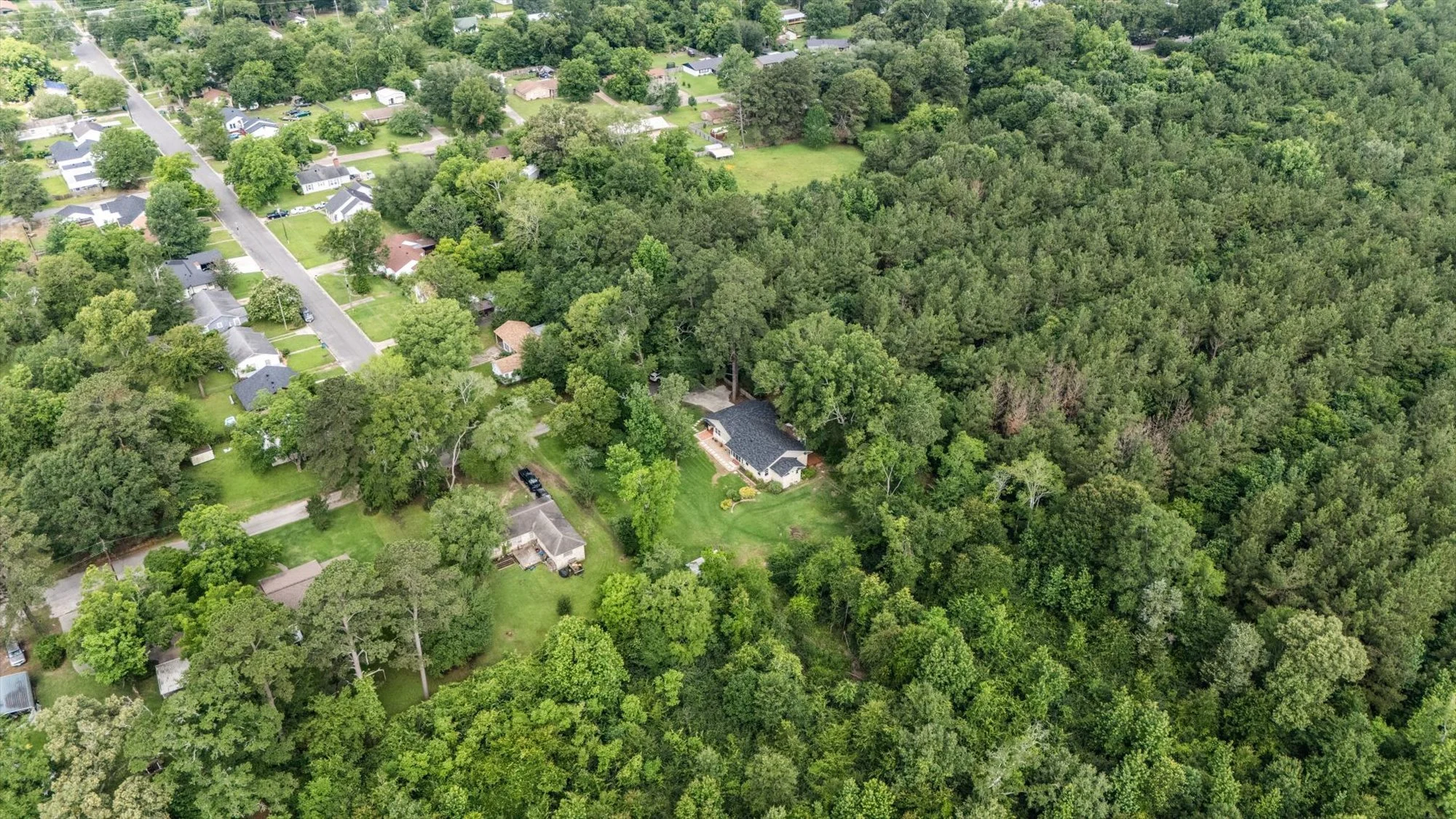 40-DJI_20260529093748_0123_D.jpg