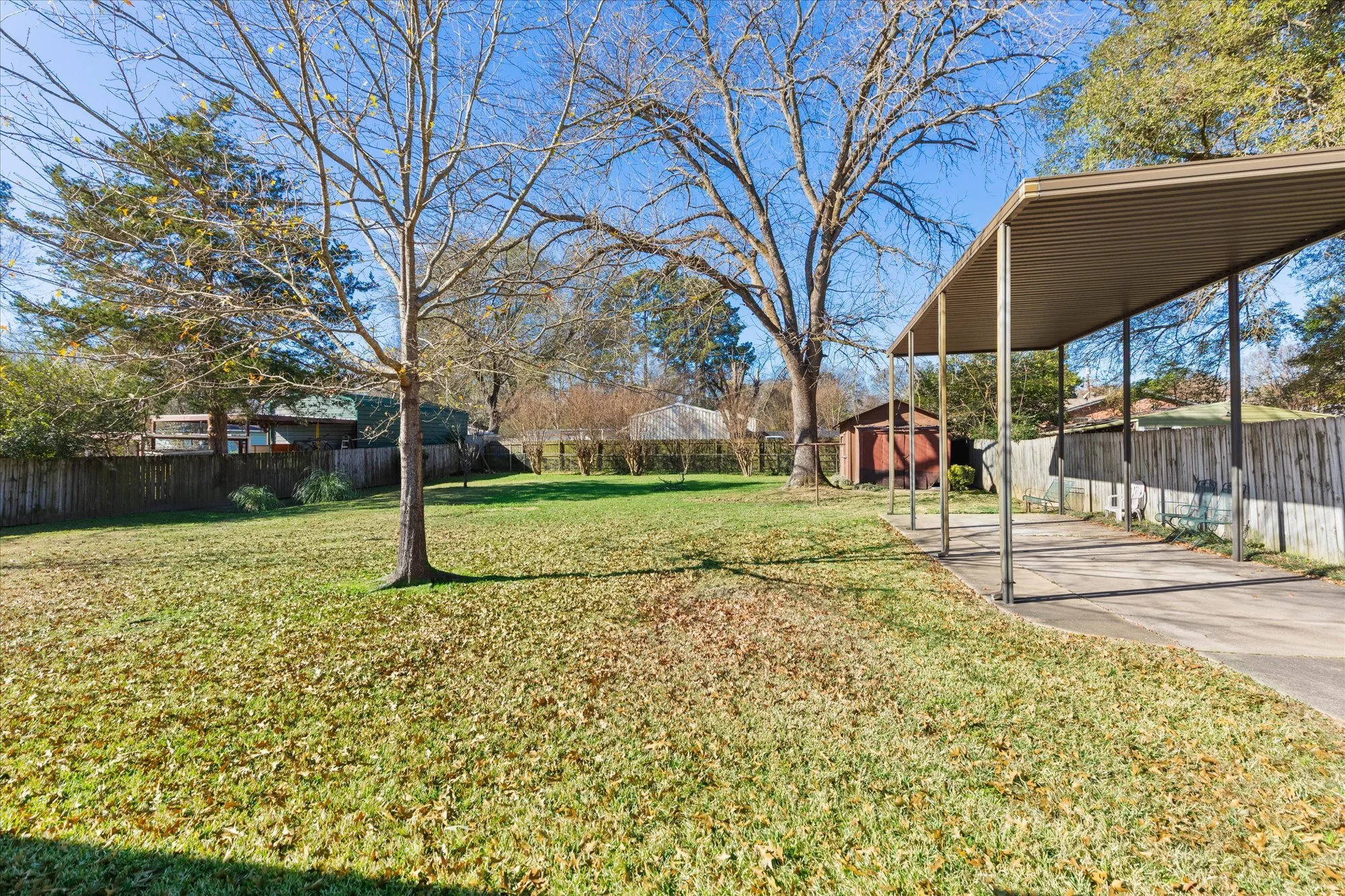 A backyard with green grass, a large leafless tree, a wooden shed, and a covered patio with chairs, all enclosed by a wooden fence under a clear blue sky.