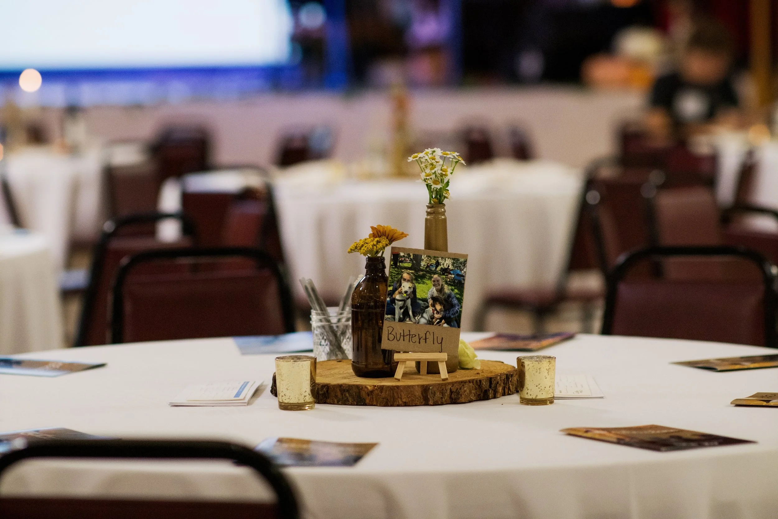 annual_celebration_10.26.24-31.jpeg