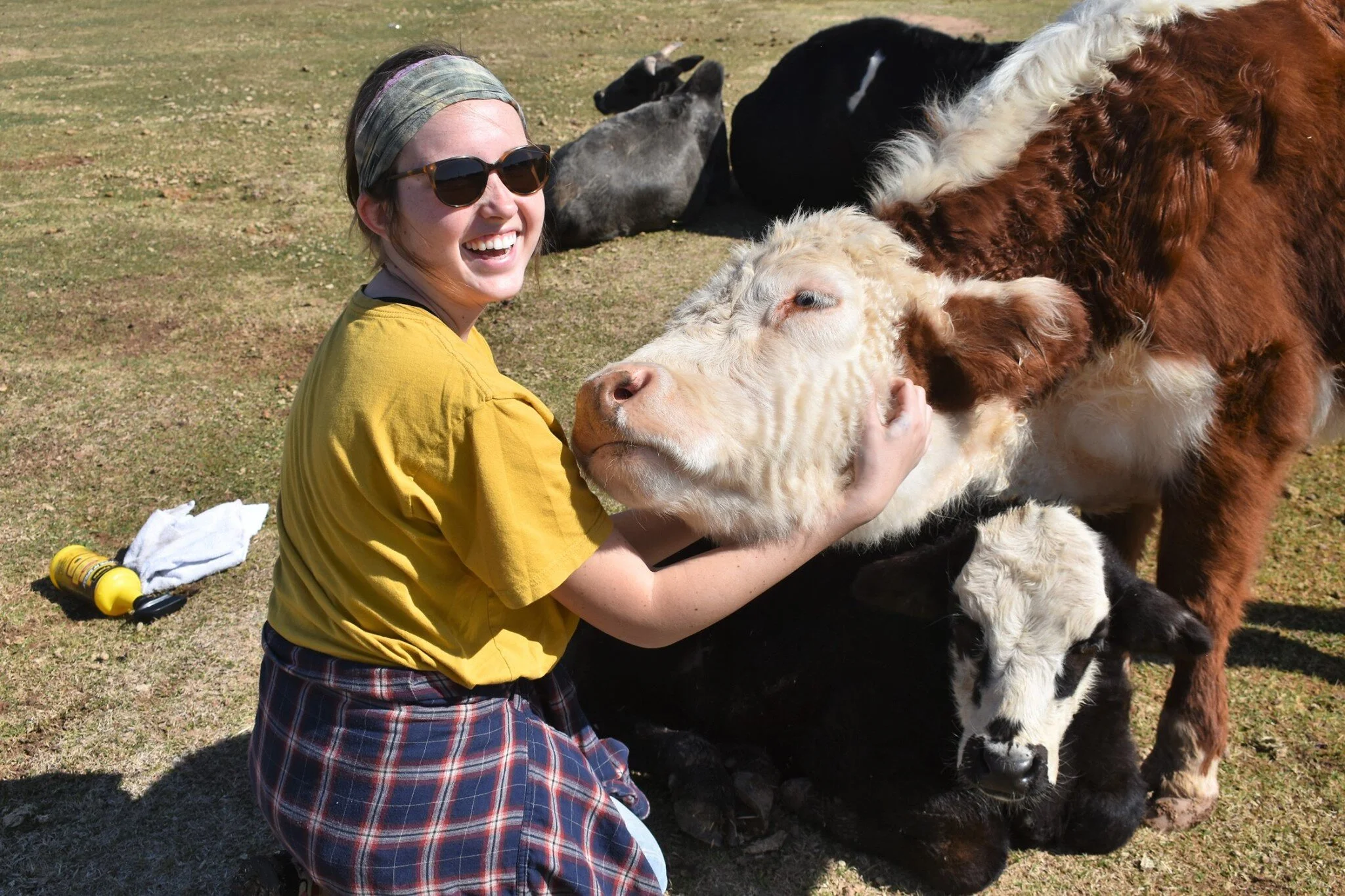 Book Your Tour — Aimee's Farm Animal Sanctuary