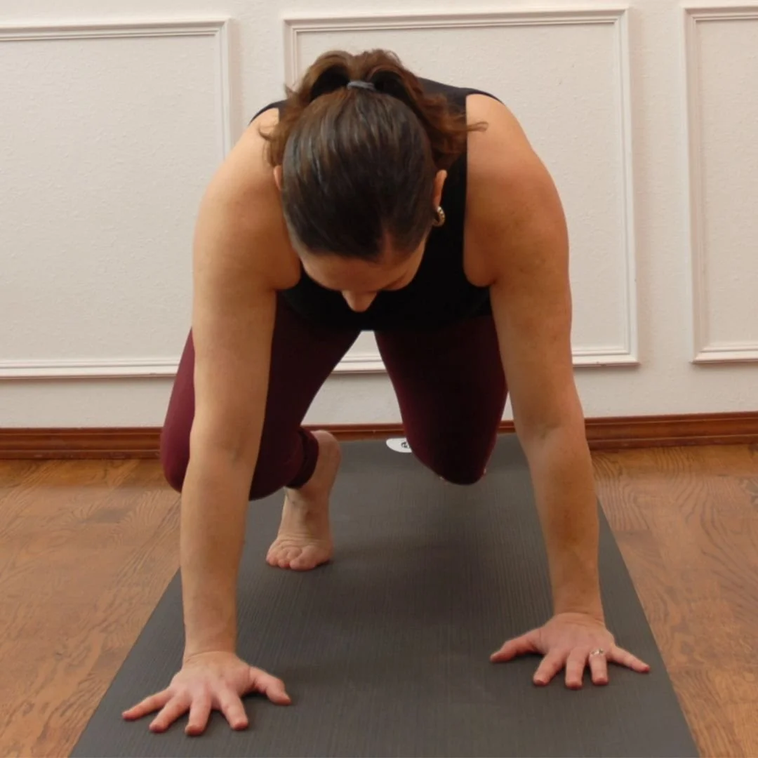 Bear Crawls