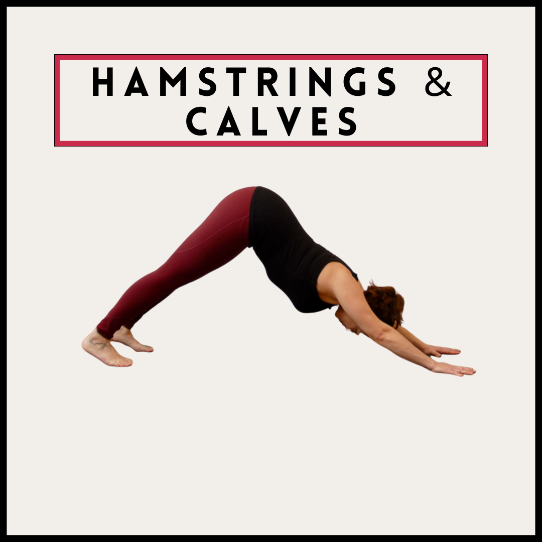 Hamstrings and Calves