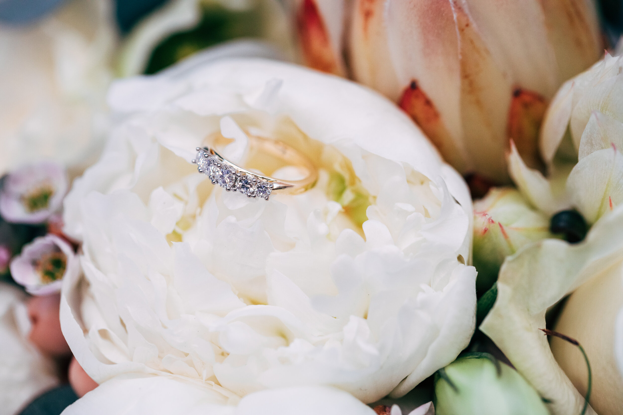 Mr & Mrs Mason_Colour-44.jpg