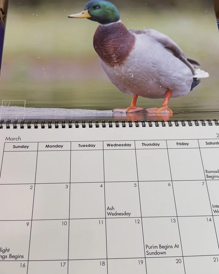 📸✨ Exciting News for Wildlife Lovers! ✨📸

Introducing the 2025 Chattahoochee River Wildlife Photography Calendar! (Link in bio) Each month, immerse yourself in breathtaking images of some of the Chattahoochee&rsquo;s most awe-inspiring animals capt