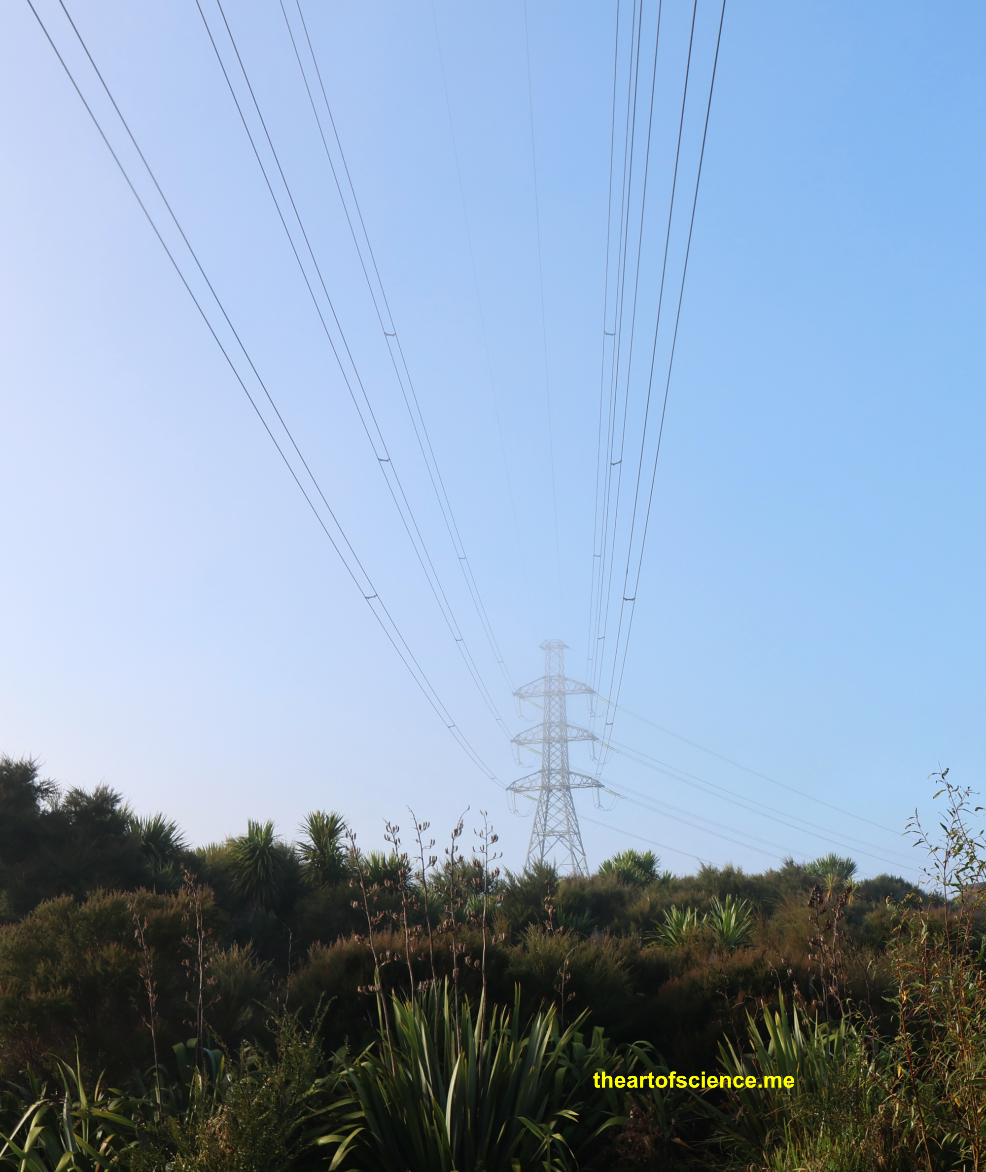 Tall tetrapods march through Kumeu mist.