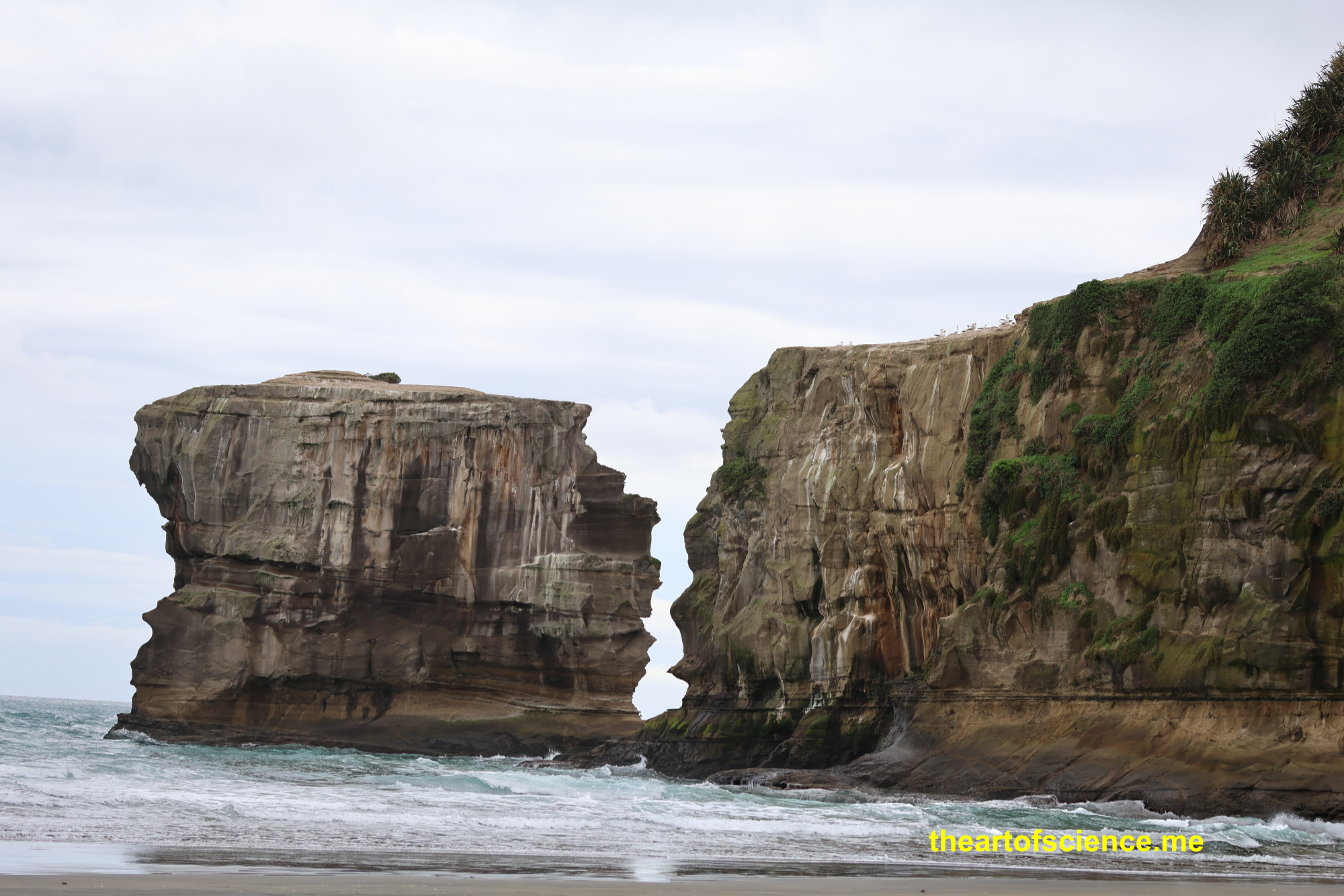 Muriwai, 17 million years before Gannets flew in from Australia.