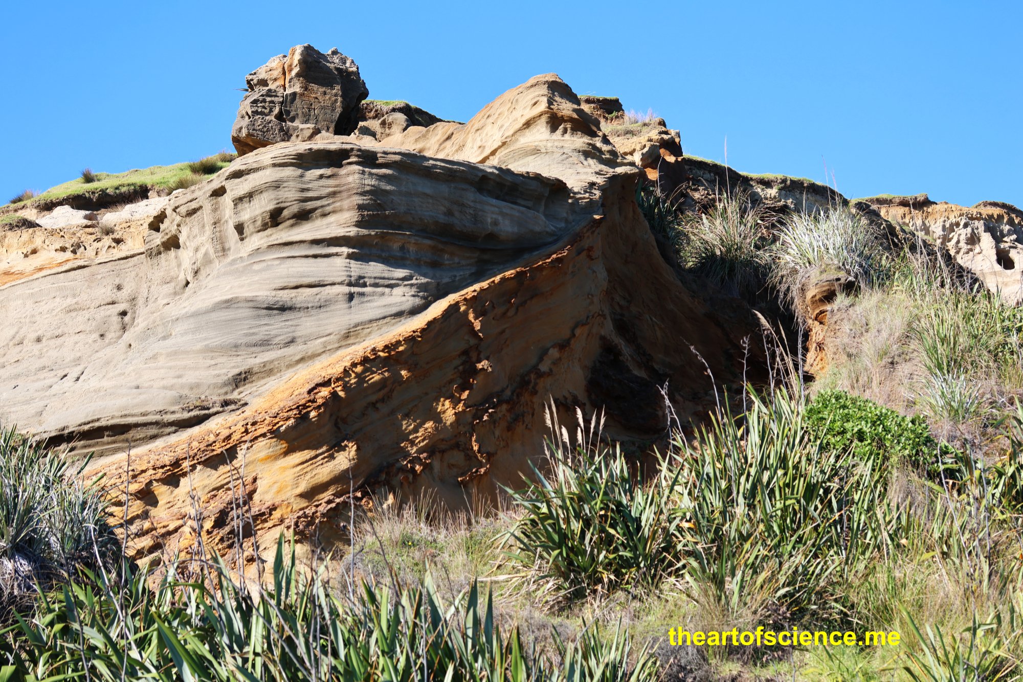 Green tea seepage left red stains on the Kariotahi cliffs.